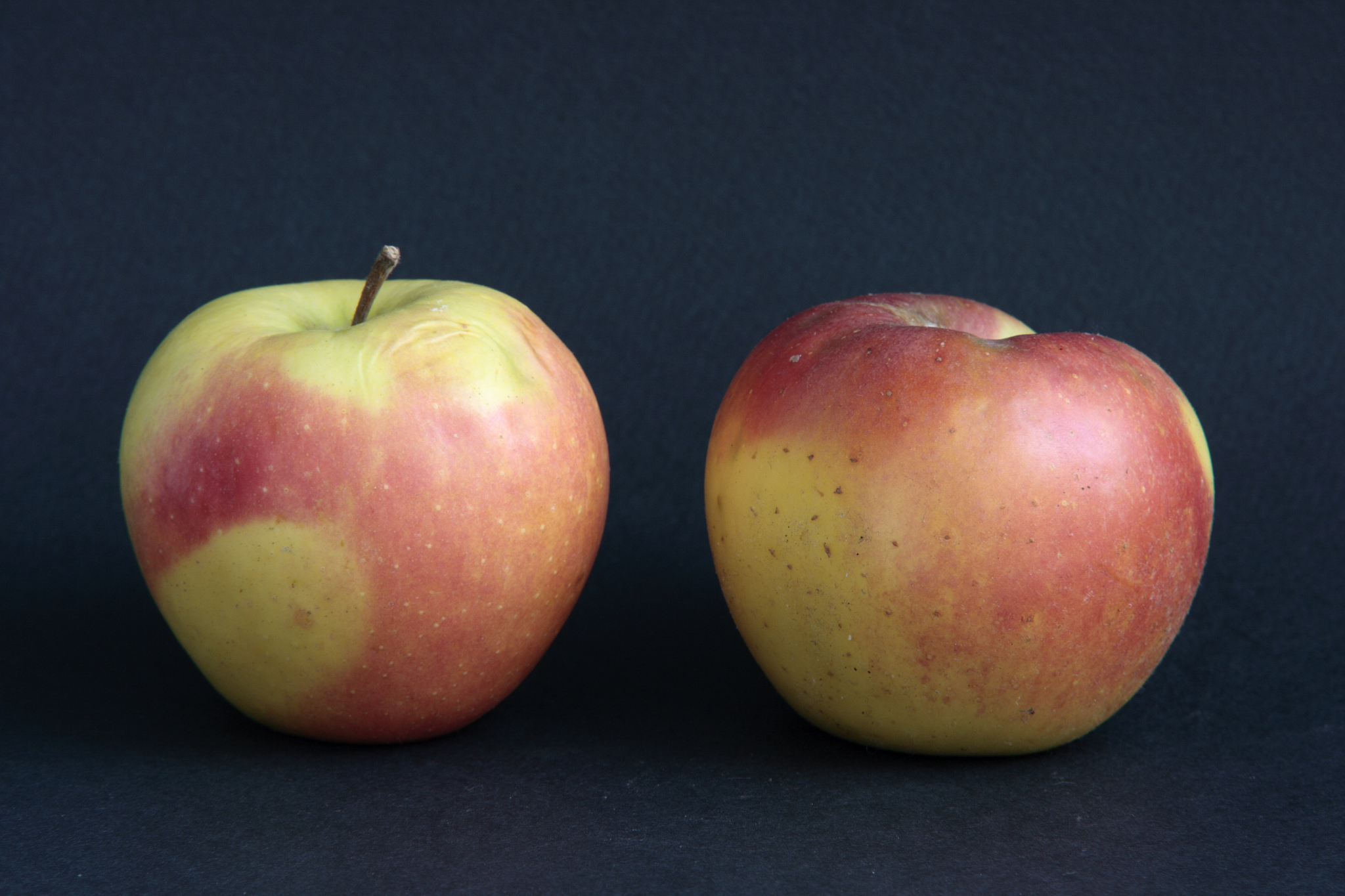 apples