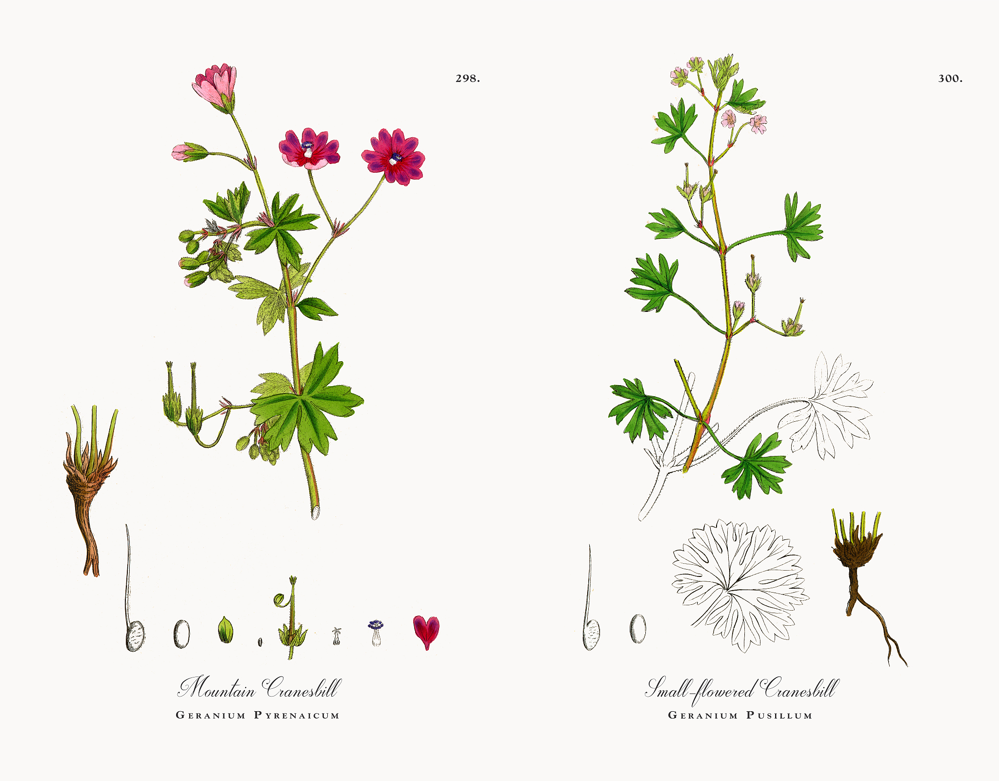 用pytorch和resnet50网络写一个中草药图像识别的代码要求训练集路径和验证集路径和测试集路径和超参数都能配置要求引入Spatial Attention注意力机制要求画出引入注意力前后的网络结构。输出每轮训练的损失值和准确率同时输出在验证集上的损失值和准确率和测试集上的准确率损失值和准确率都通过tensorboard可视化。最后保存在测试集上准确率最高的模型参数。画出混淆矩阵。