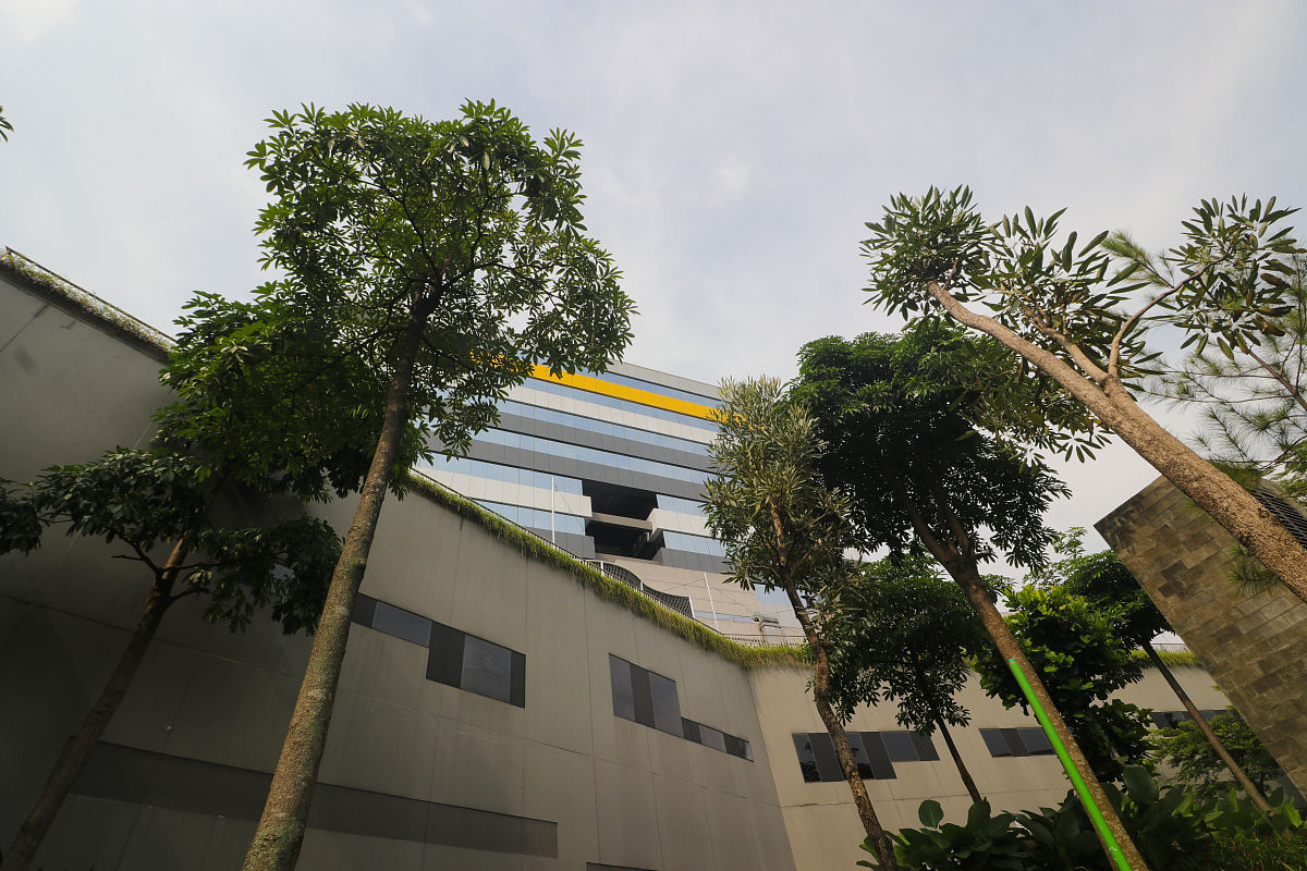 视角和视域的区别：如何看清事物的全貌