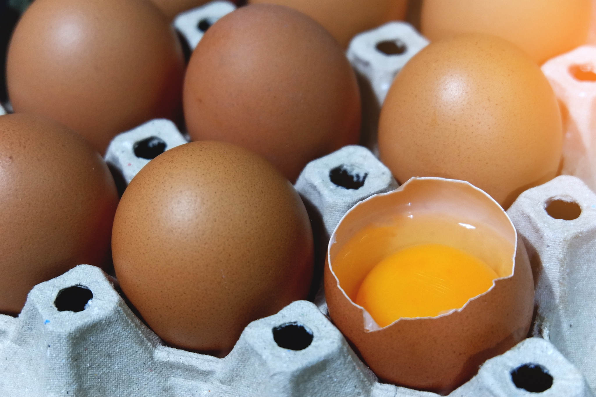 chicken eggs