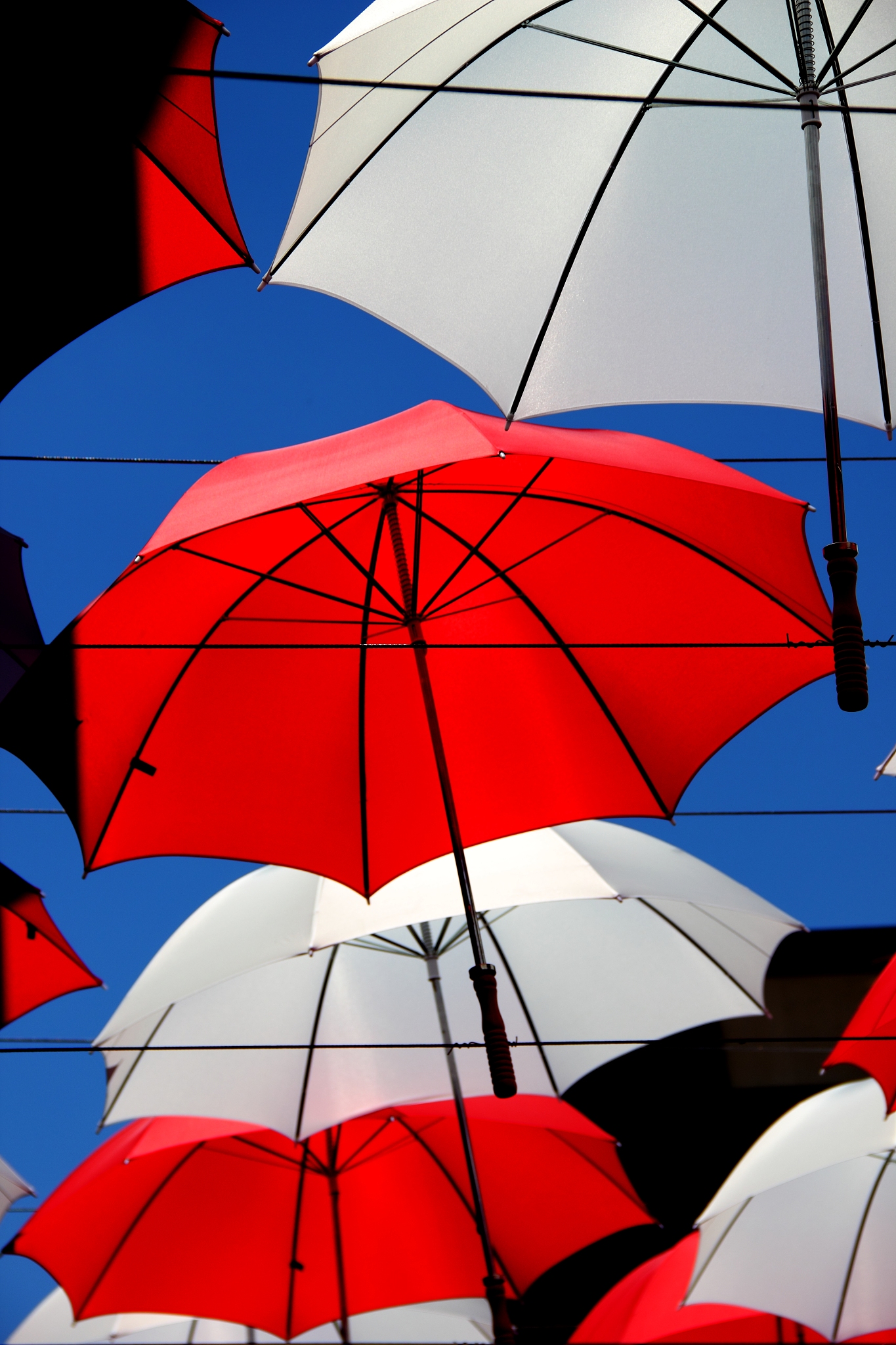 multi coloured umbrellas