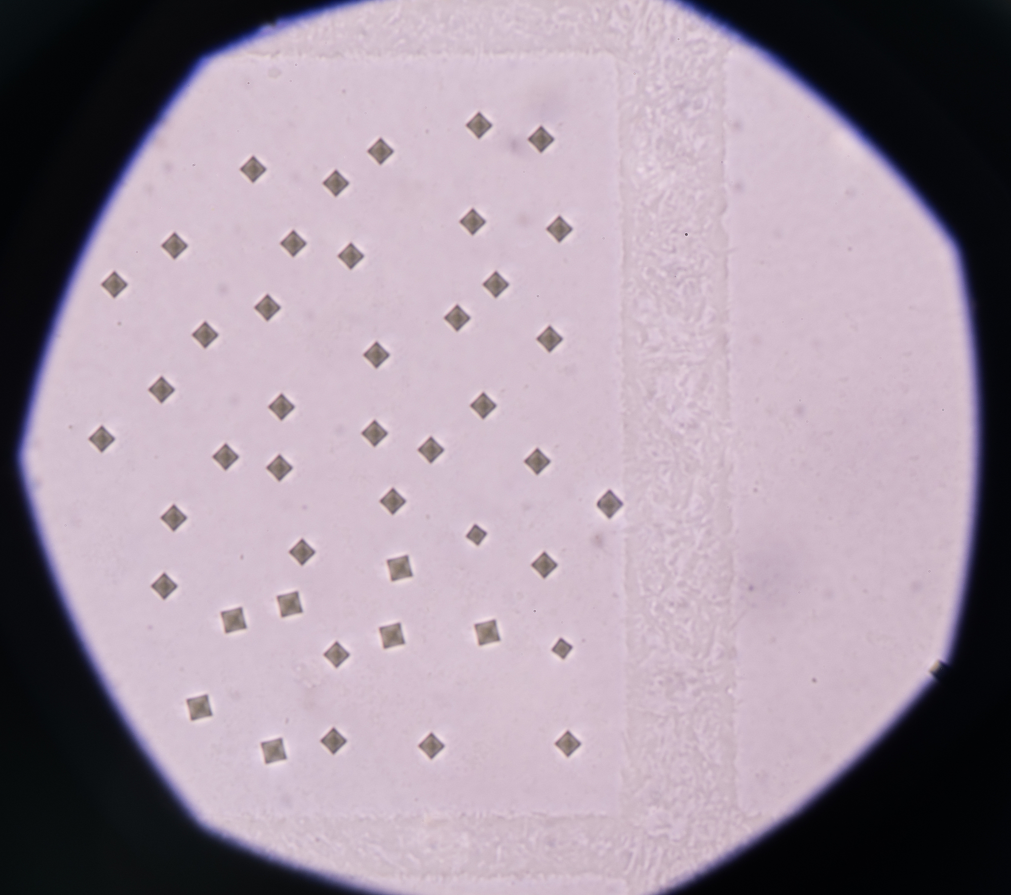 老年人吃竹笋会流失钙吗？专家解答：适量食用无忧