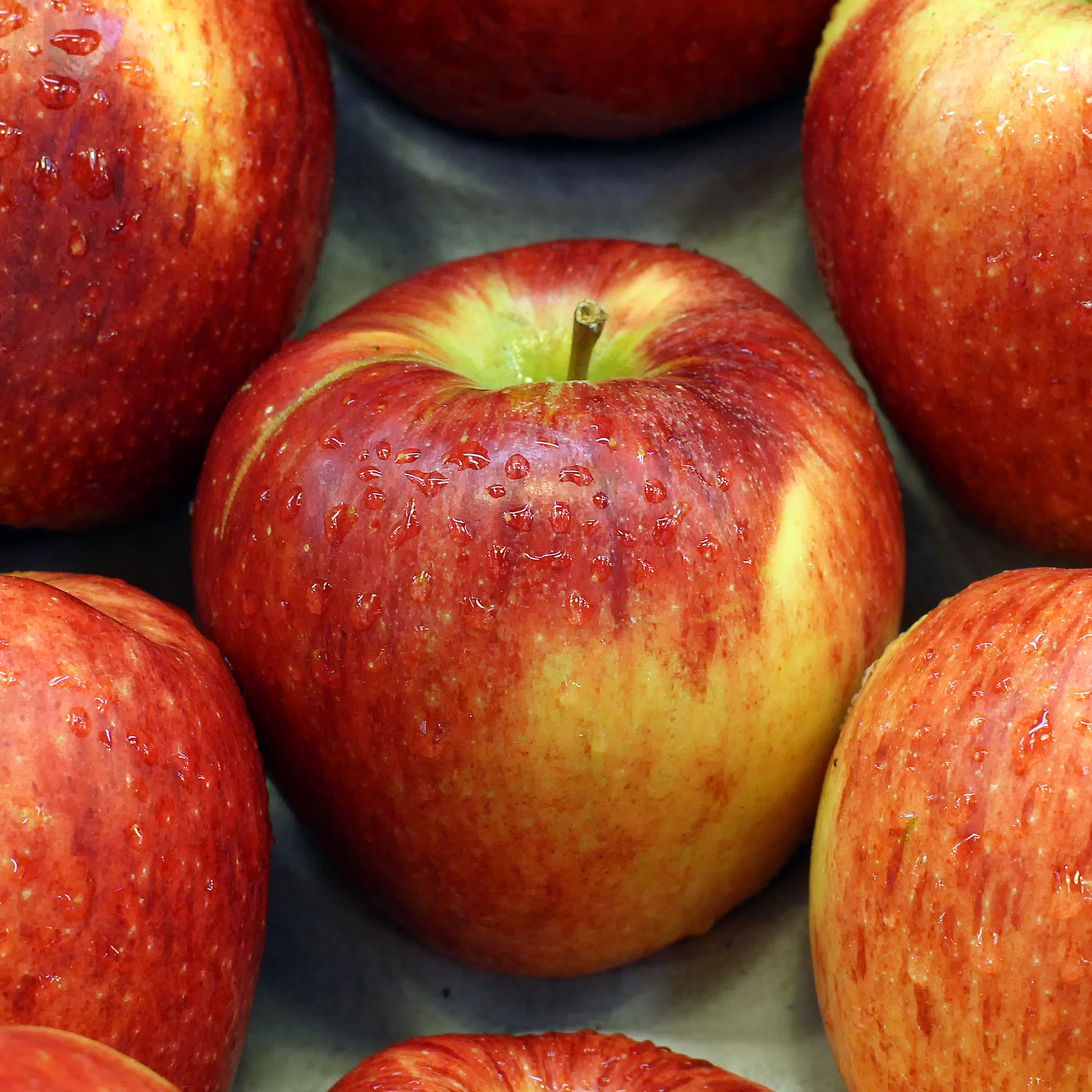 吃苹果一个月对身体好吗？| 营养师揭秘苹果的健康益处和潜在风险