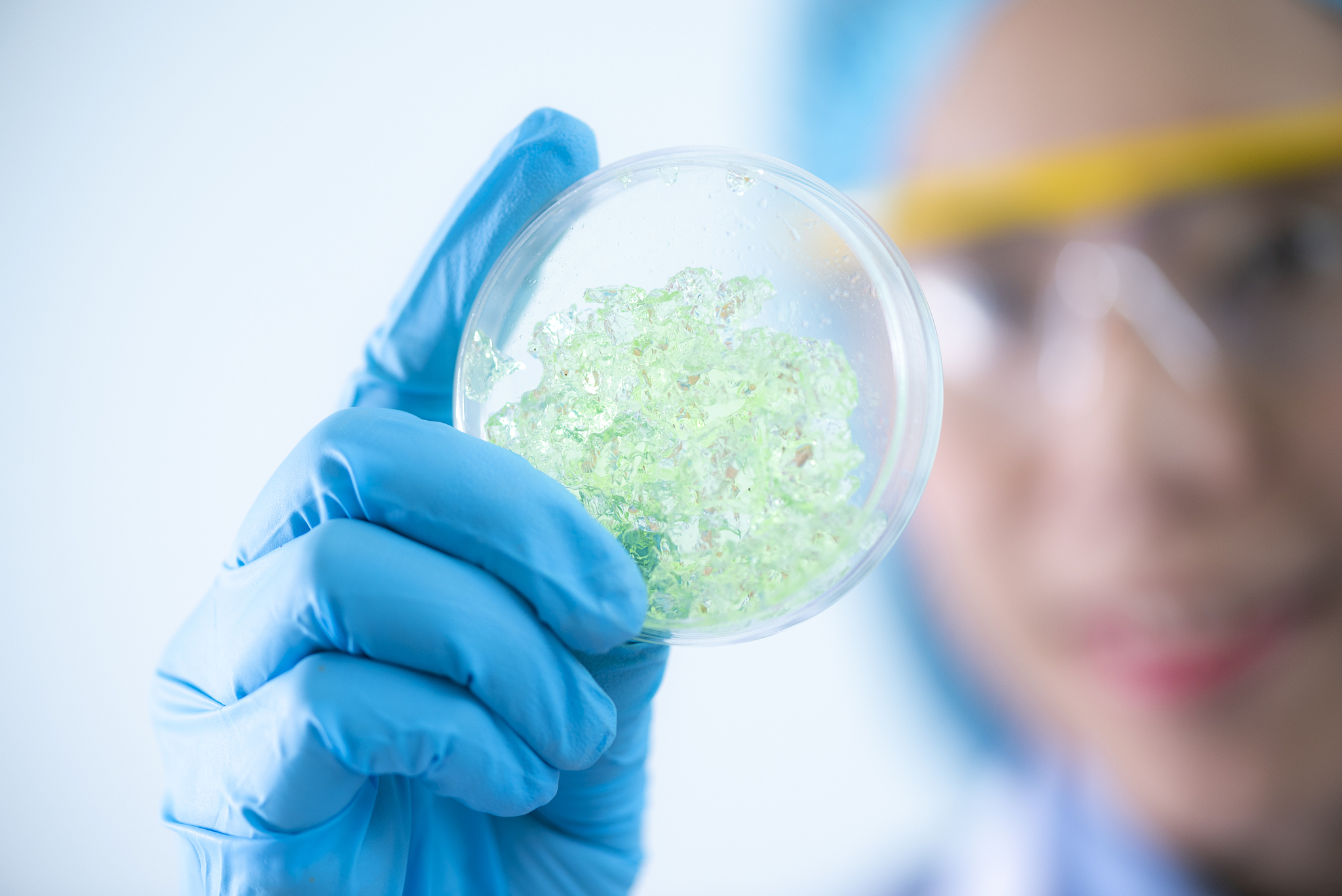 生物材料 vs 生物基材料：区别解析