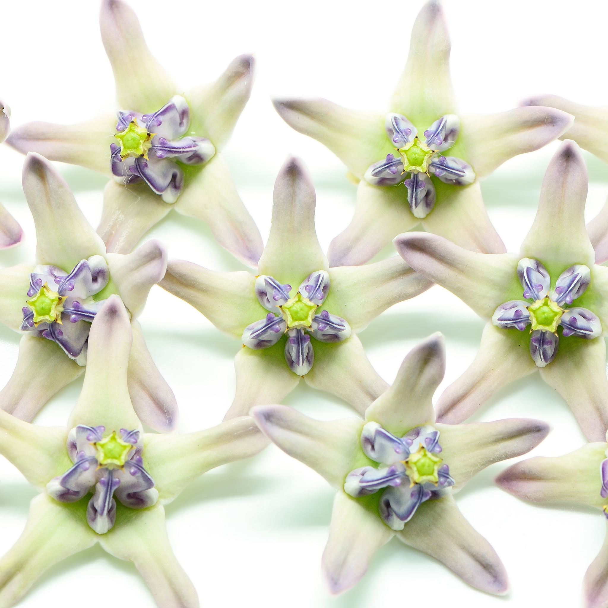 绵阳农业学校环境怎么样？开设了哪些专业？