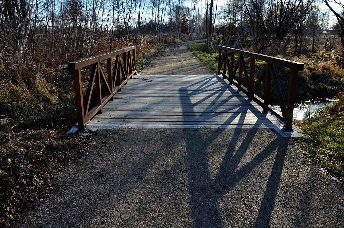 基于问卷调查的子洲县富发农业科技有限公司黄芪产品市场营销策略优化研究