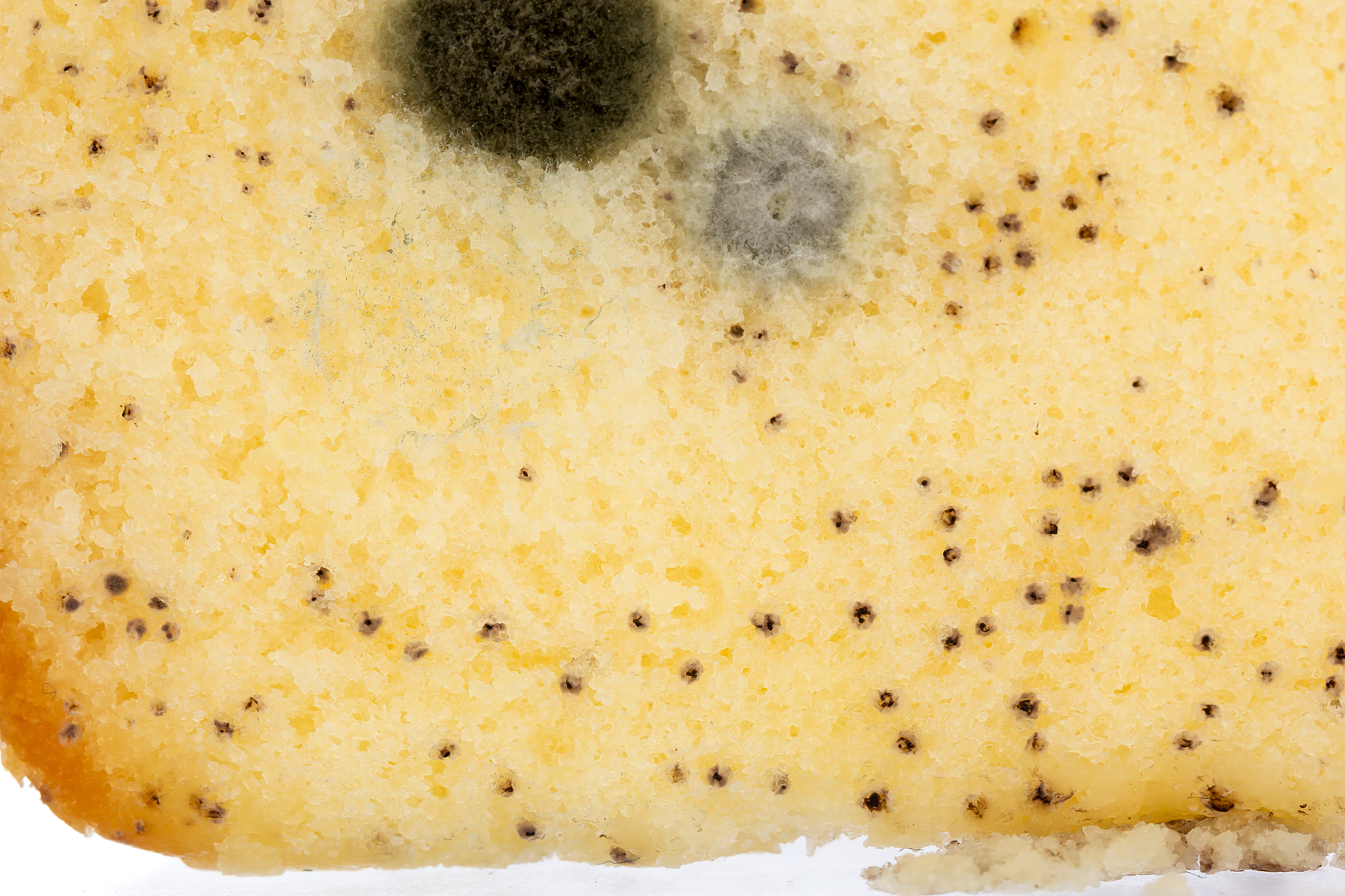 盒子里面蛋糕的霉会跑到盒子外吗帮我用210字详细描述