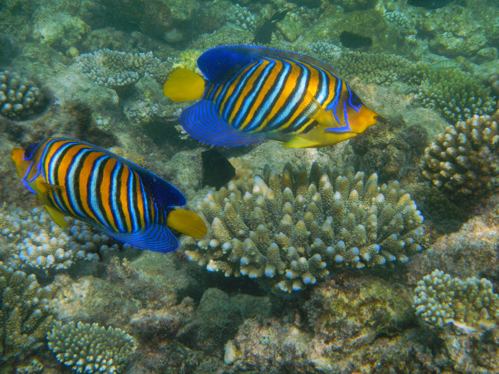 贞丰县职业技术学校特种动物养殖专业就业前景分析