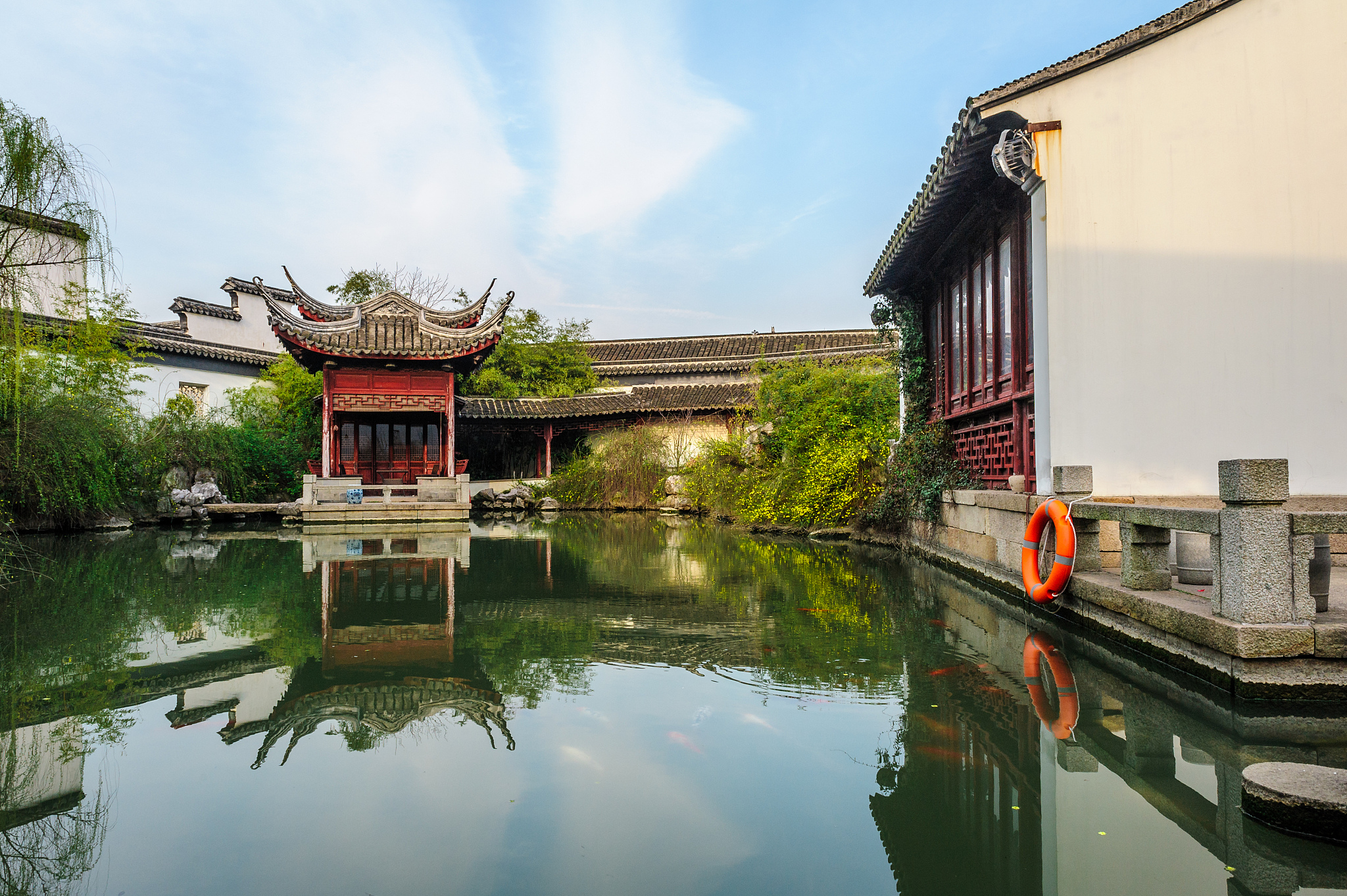 "凤凰"掠影
