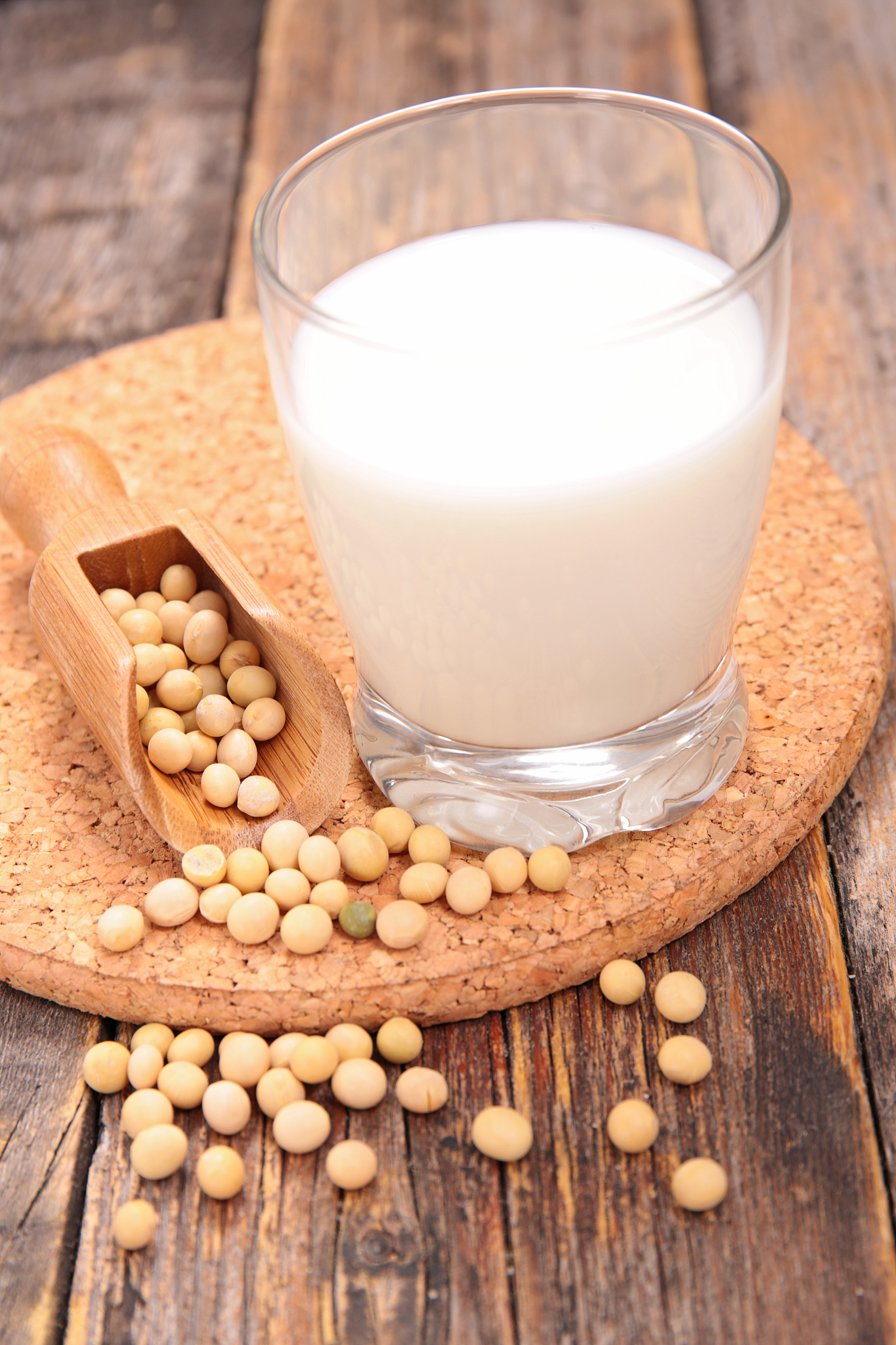 豆乳和豆浆的区别