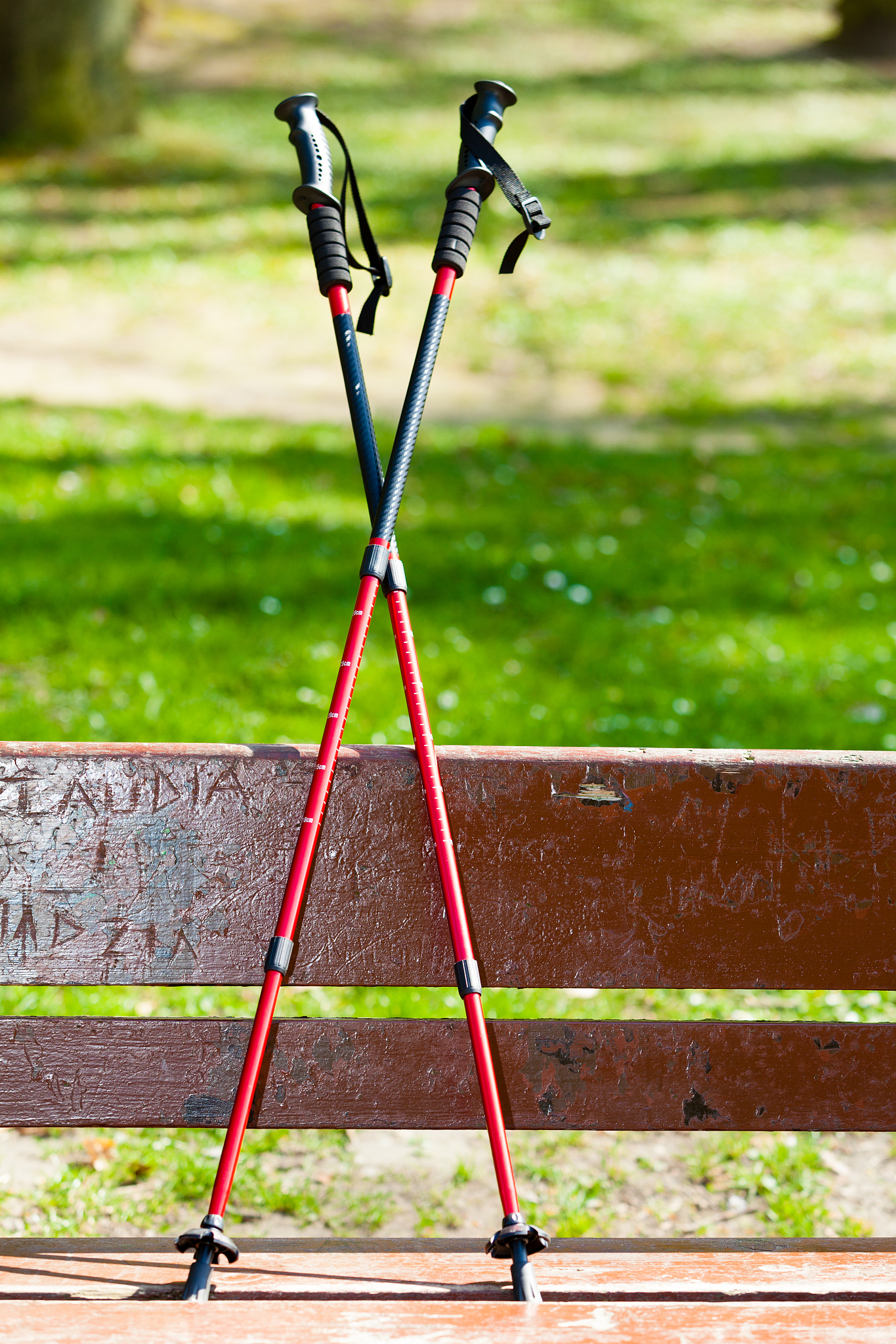 nordic walking equipment on the park bench.