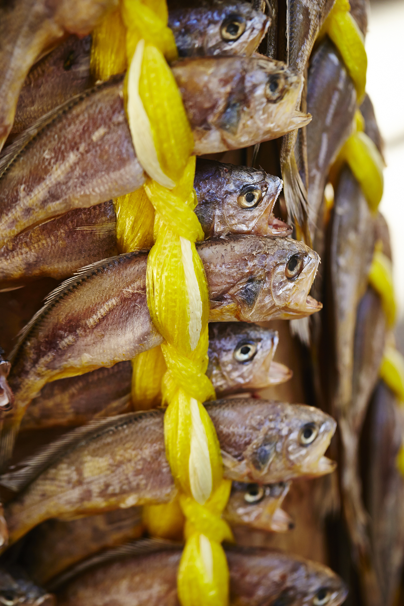 pile of dried fish