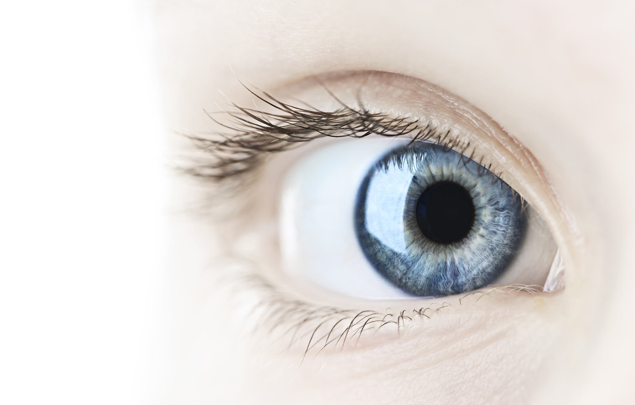 a very closeup look of a lady's eye