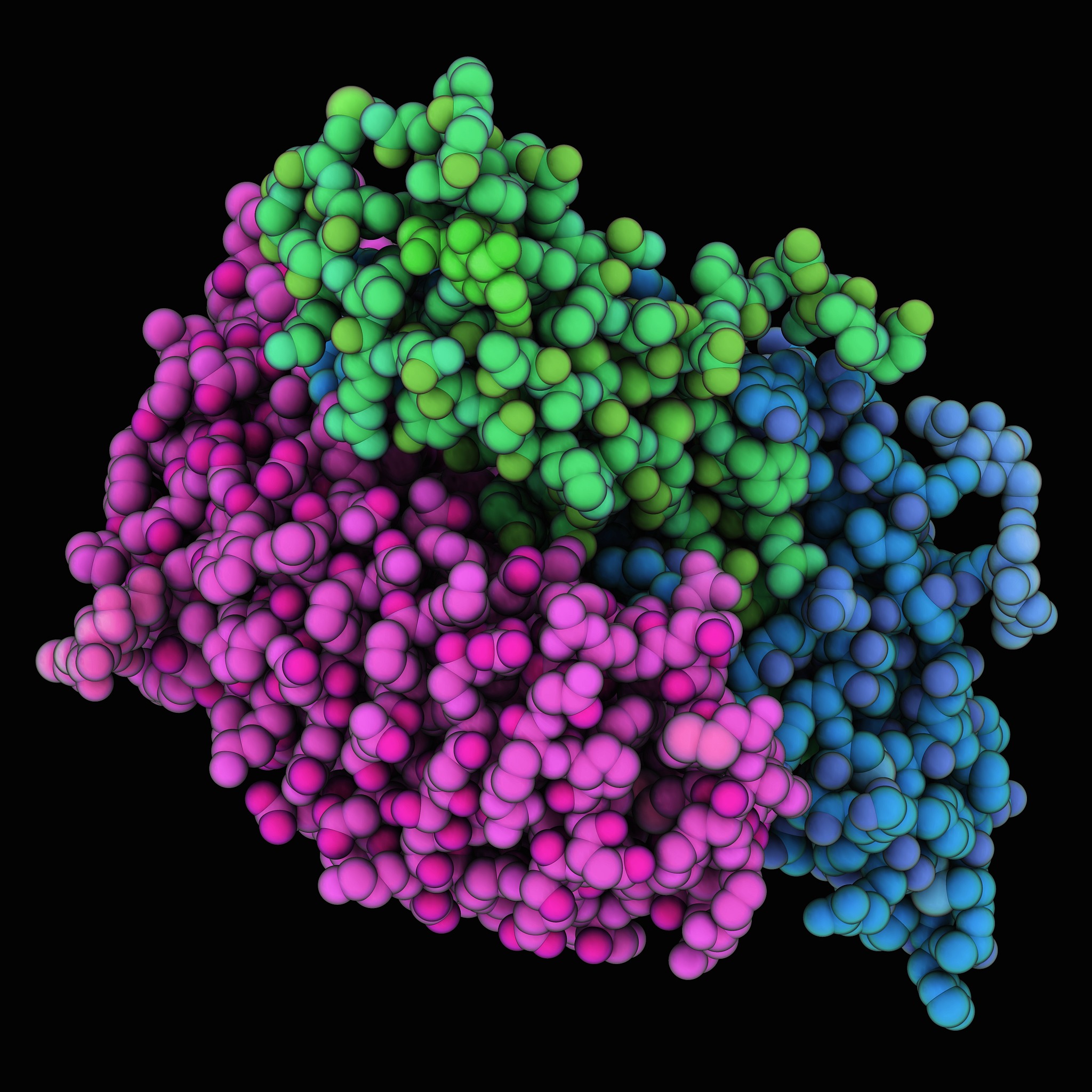 卵泡发育阶段详解：从原始卵泡到排卵