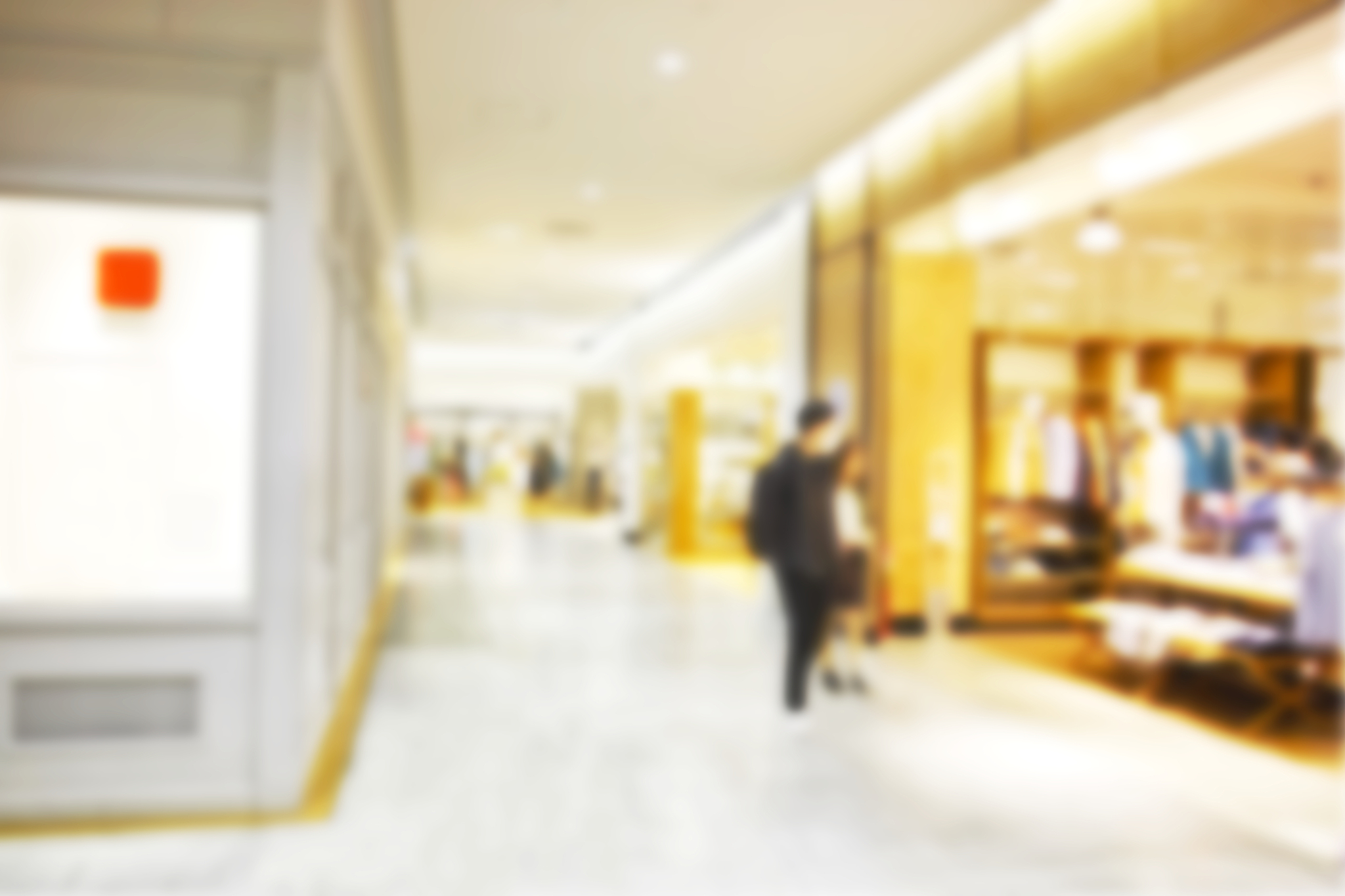 shopping mall of passage image