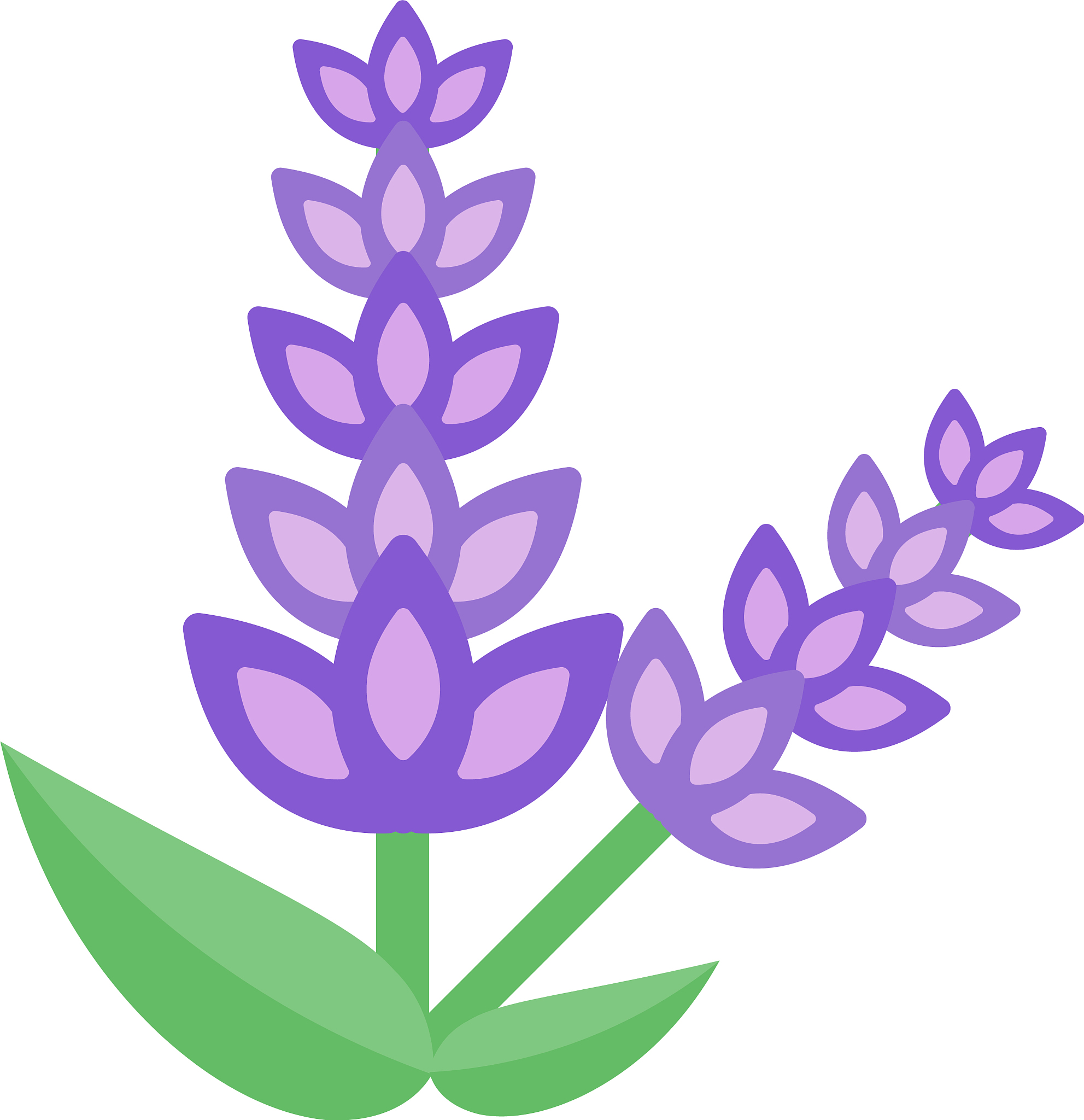 外源油菜素内酯提高植物耐旱性：可溶性糖变化机制