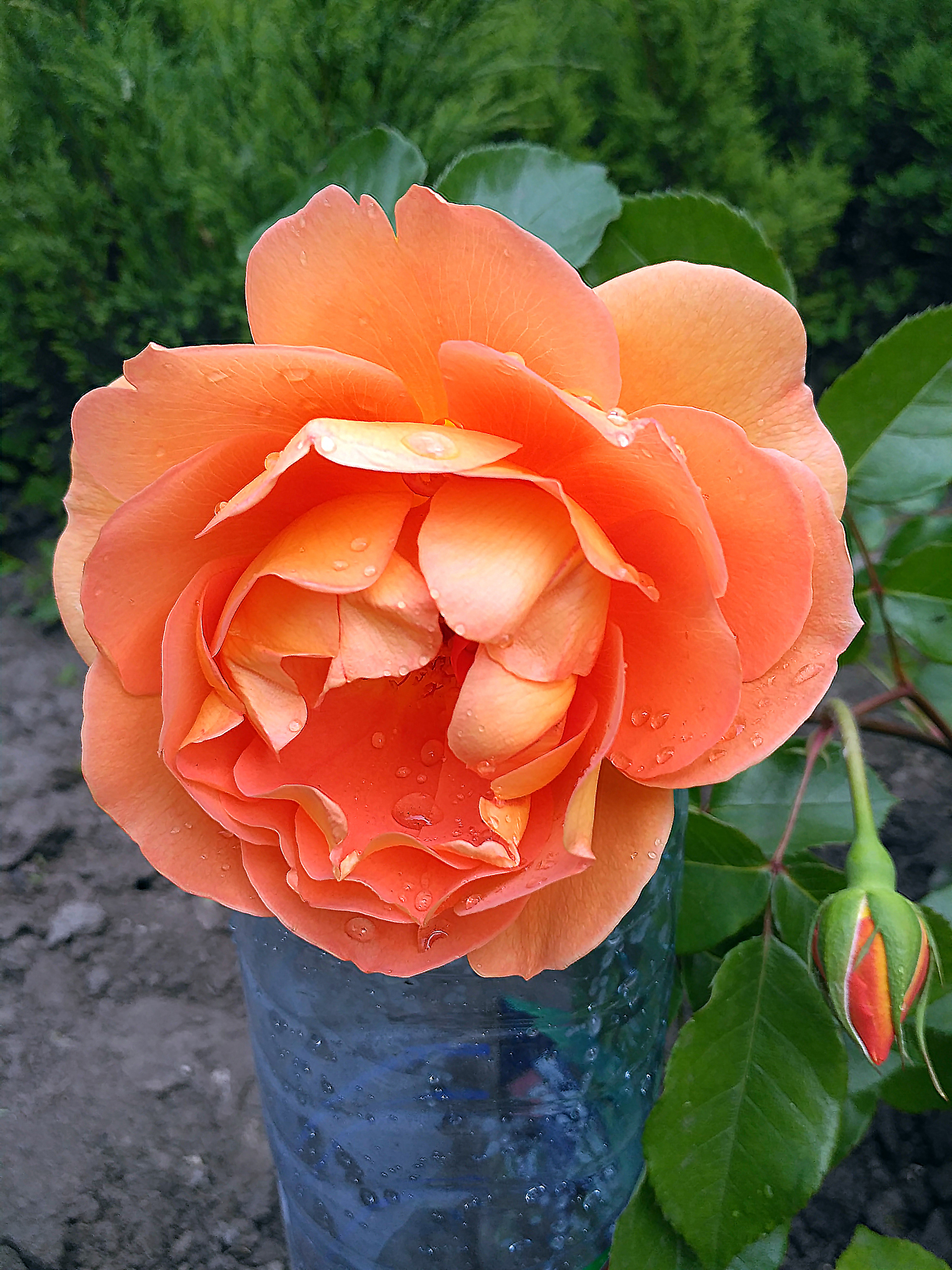 郑州市技师学院力科分院平面广告艺术设计初中三年怎么样？招生条件有哪些-怎么样