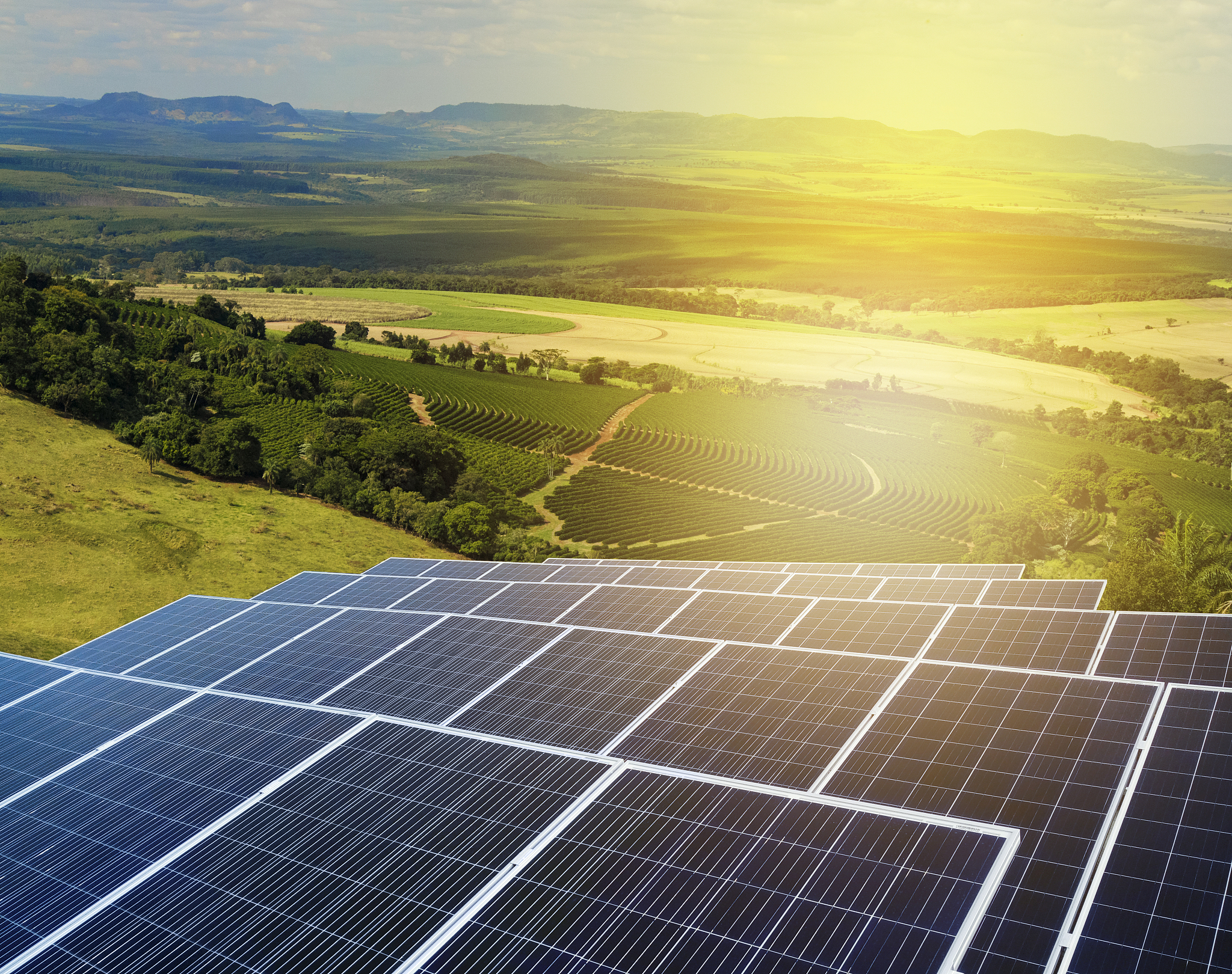 SIF 技术在农作物生长监测和产量预测中的应用进展