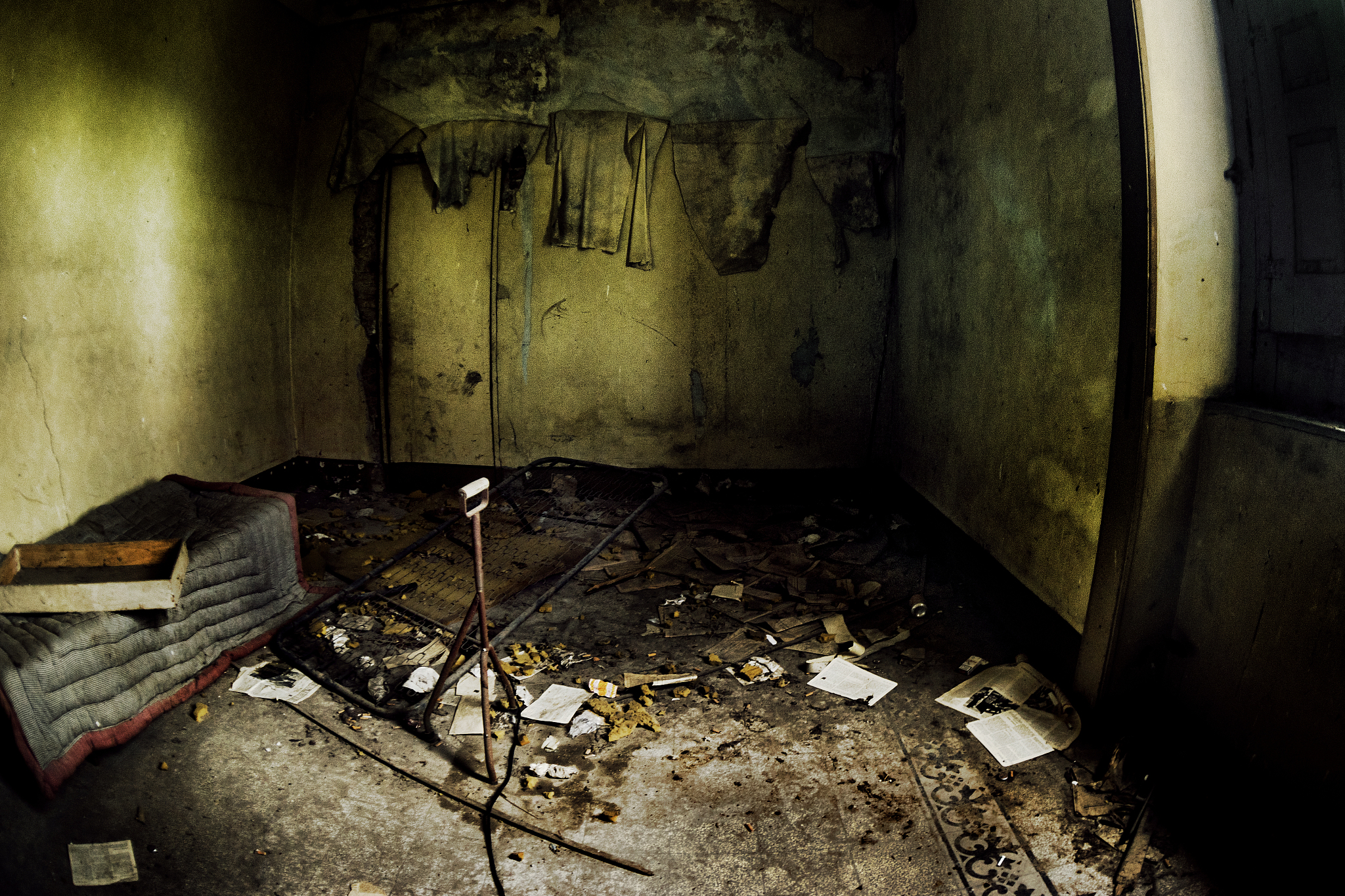 asylum