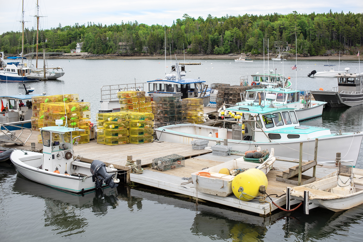 Which is NOT a Major Fishing Area for Britain?
