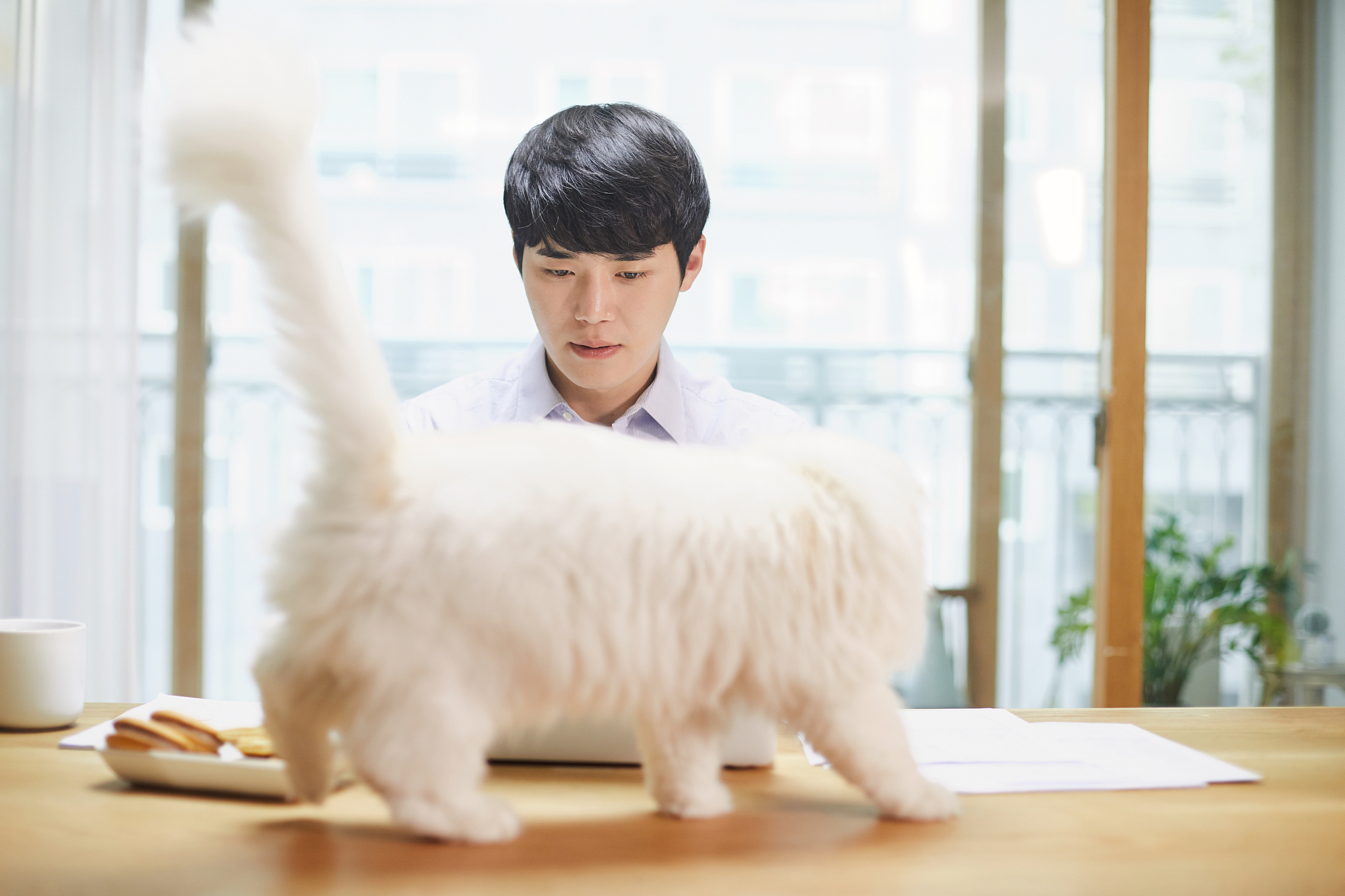 四川省水产学校2019-动物防疫与检疫技术招生