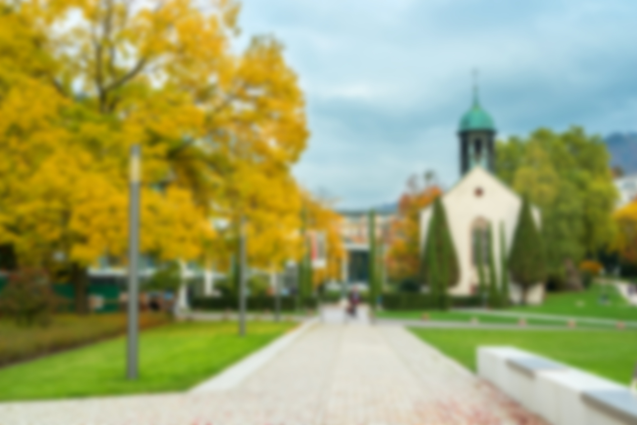 blurred background autumn street in the city