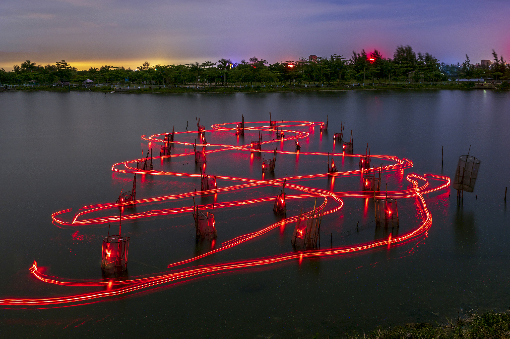 一百万资金投资二十个鱼塘养虾请写出商业布局说明有哪些风险以及受益。