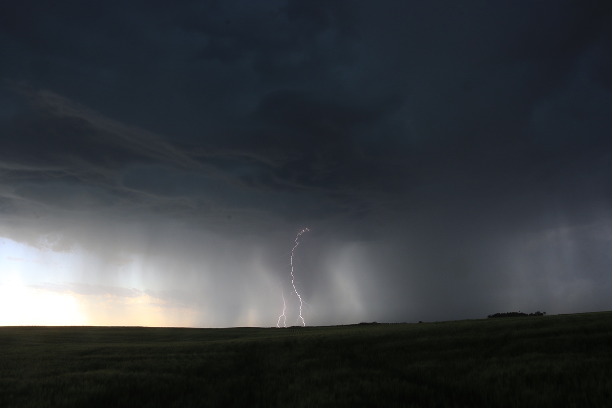 which of the following is not an extreme weather event？tornado; typhoor; hurrican; smog
