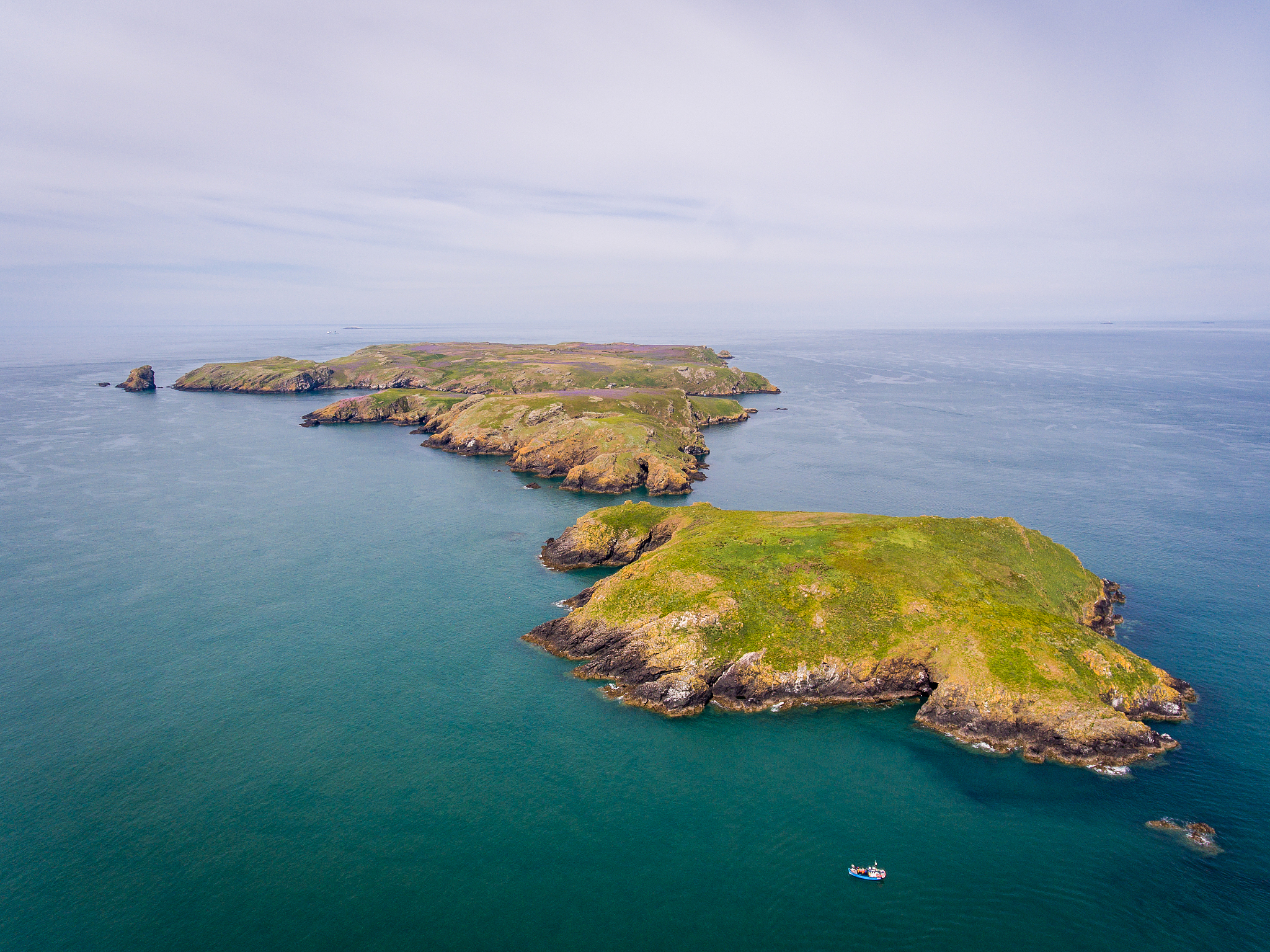 skomer island