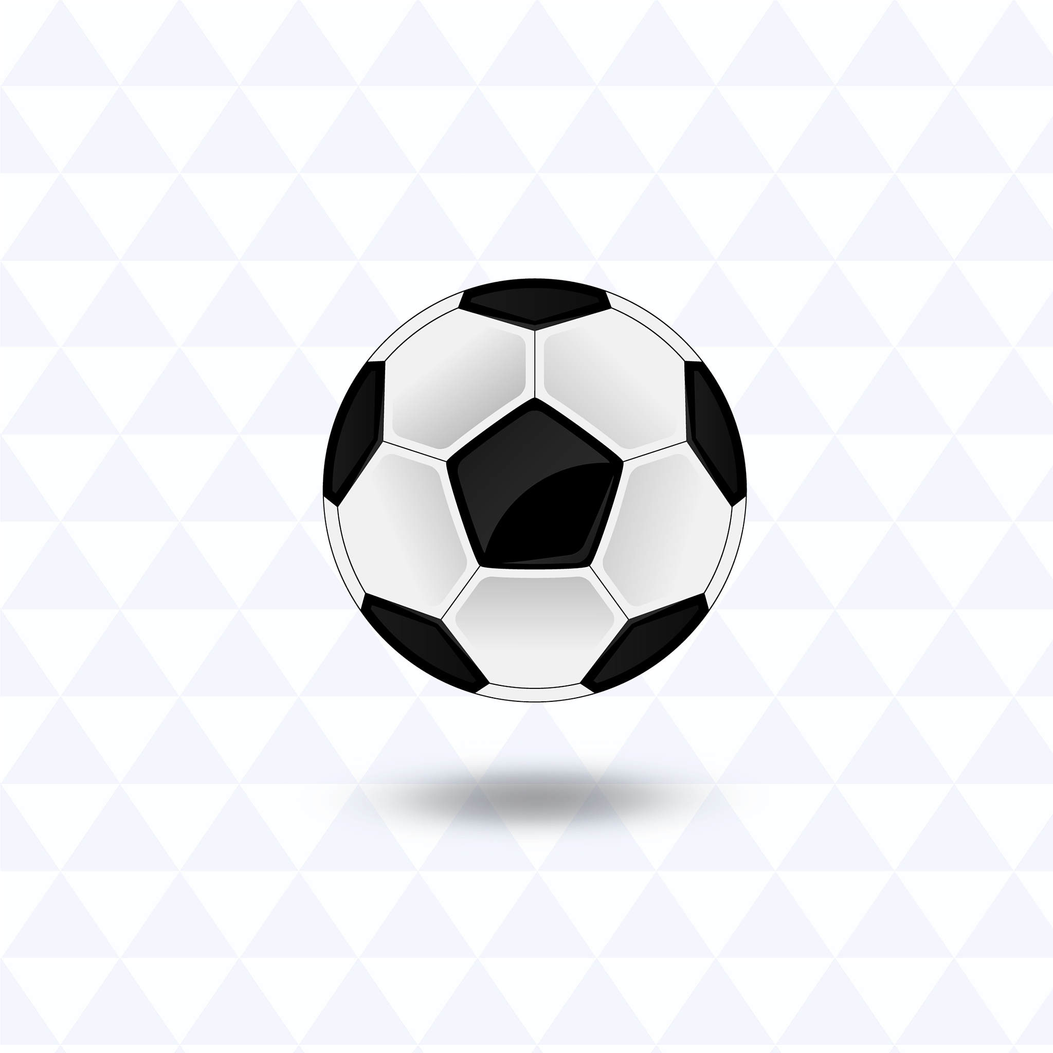 a soccer ball