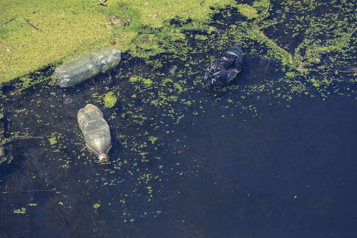 我国水体富营养化状况