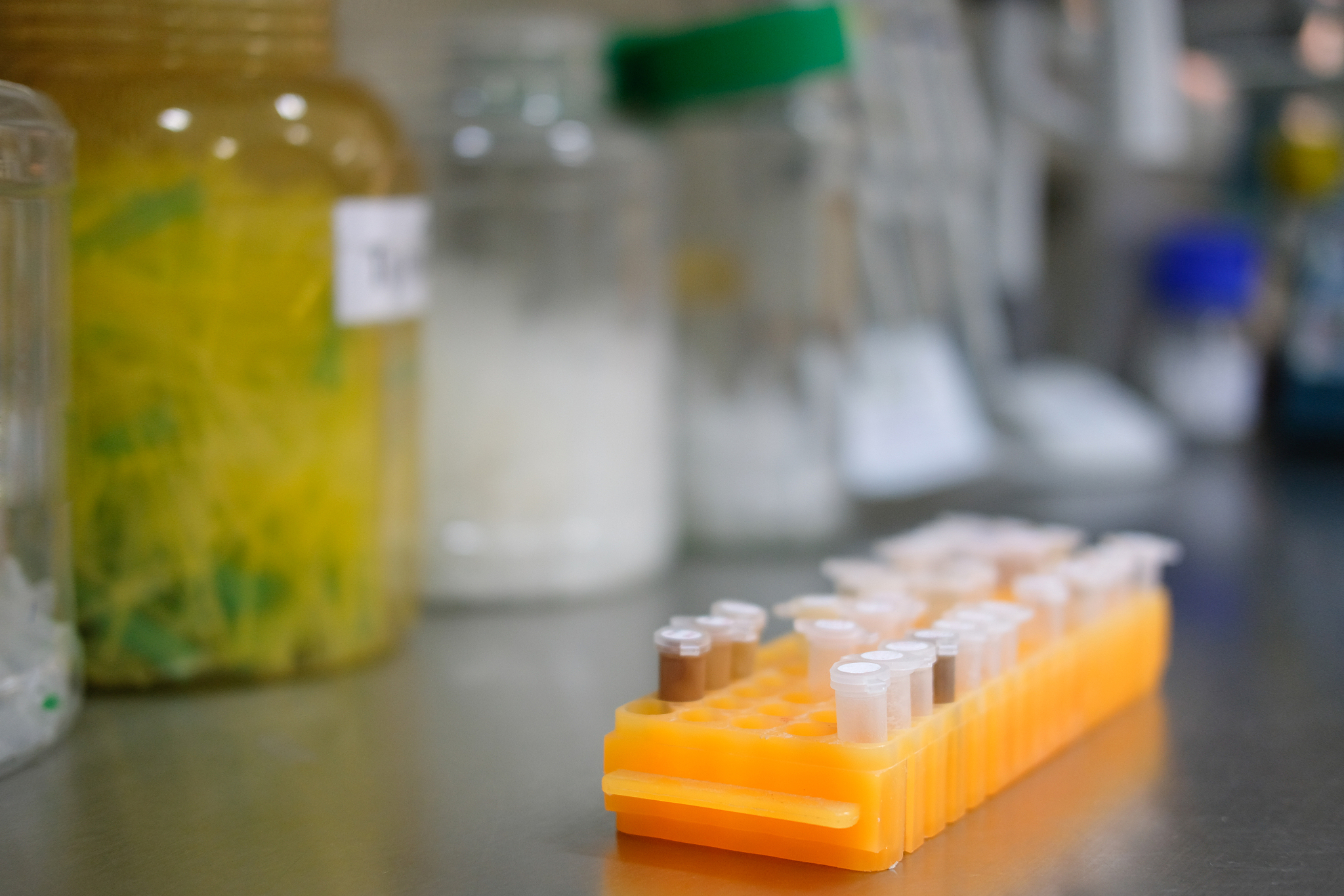 四川省食品药品学校2023年招生计划：解读及报名指南