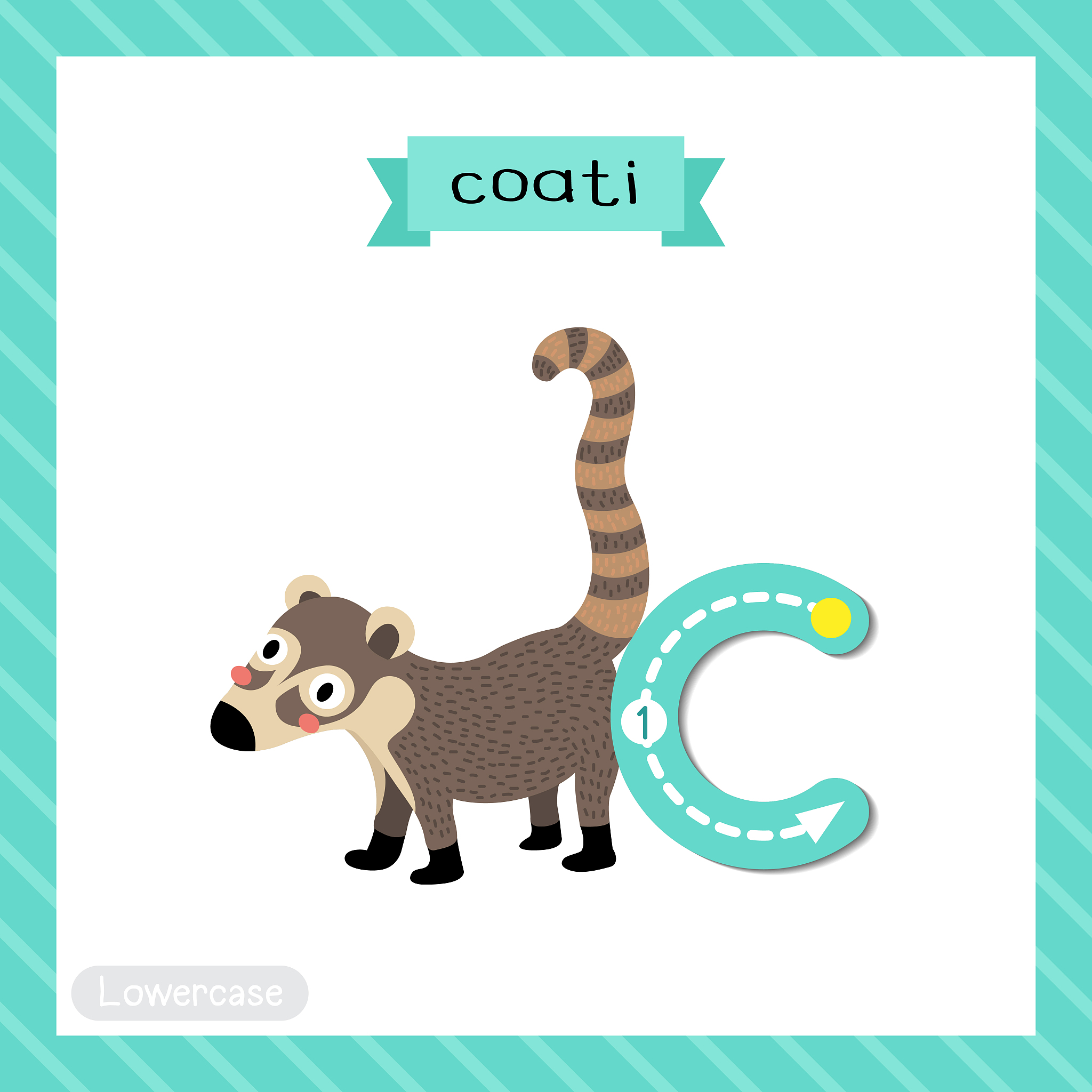 英语学习计划：从四级备考到精通英语