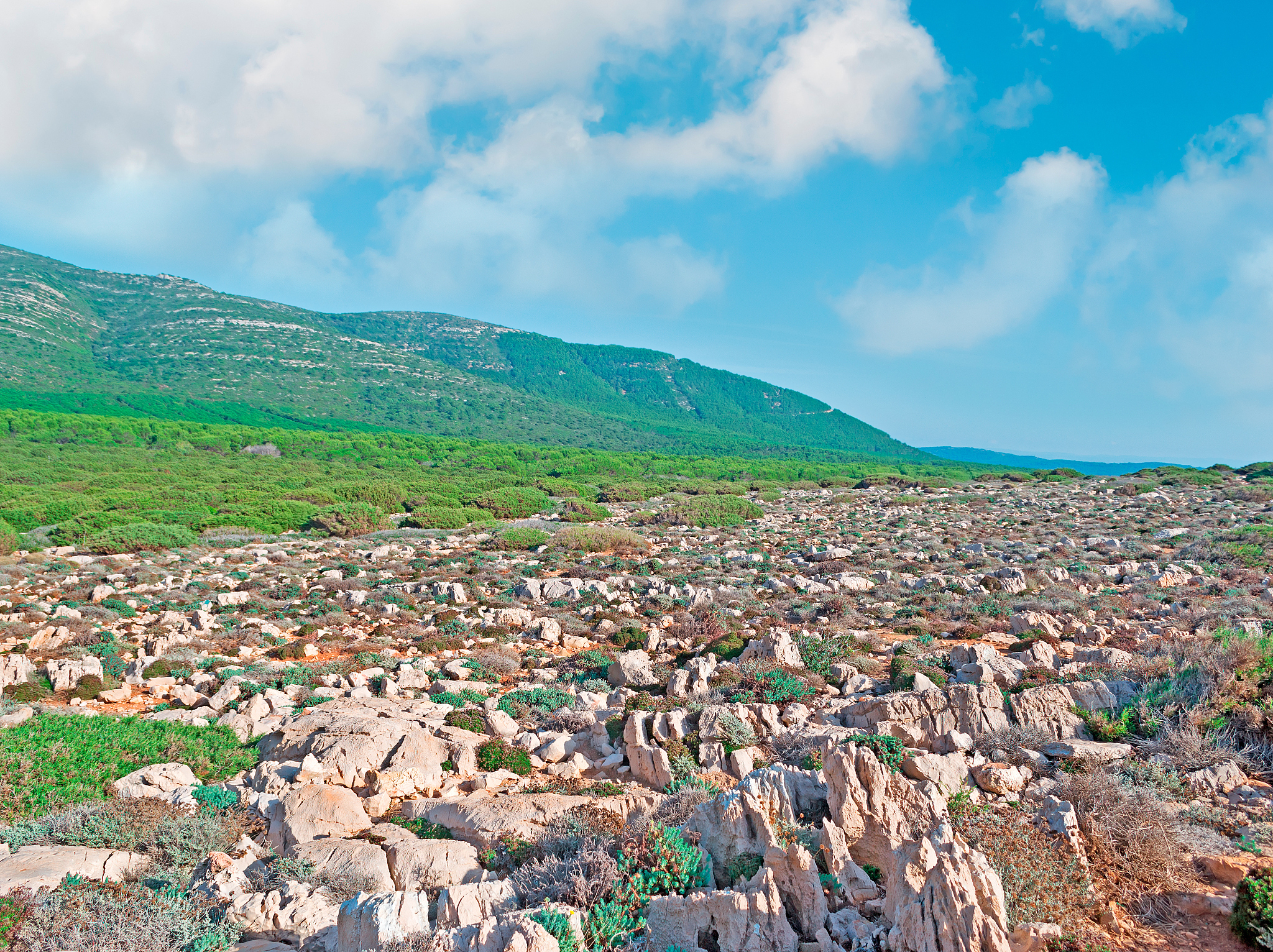 rocky landscape