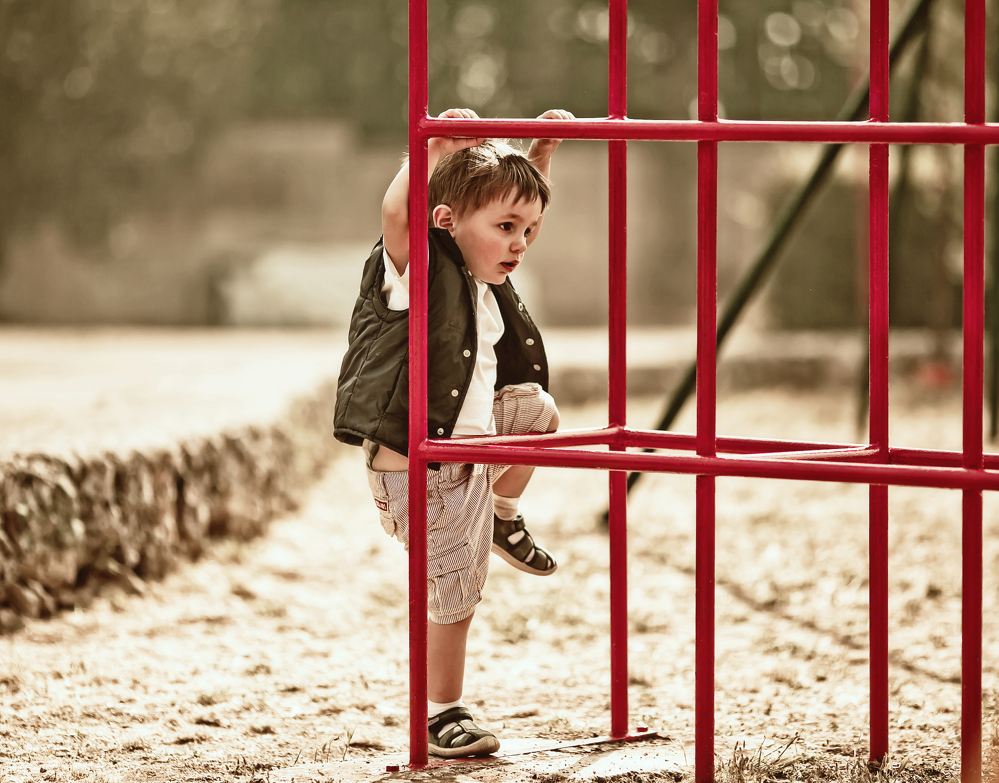 做一个探索未知的少年：拥抱好奇，挑战自我
