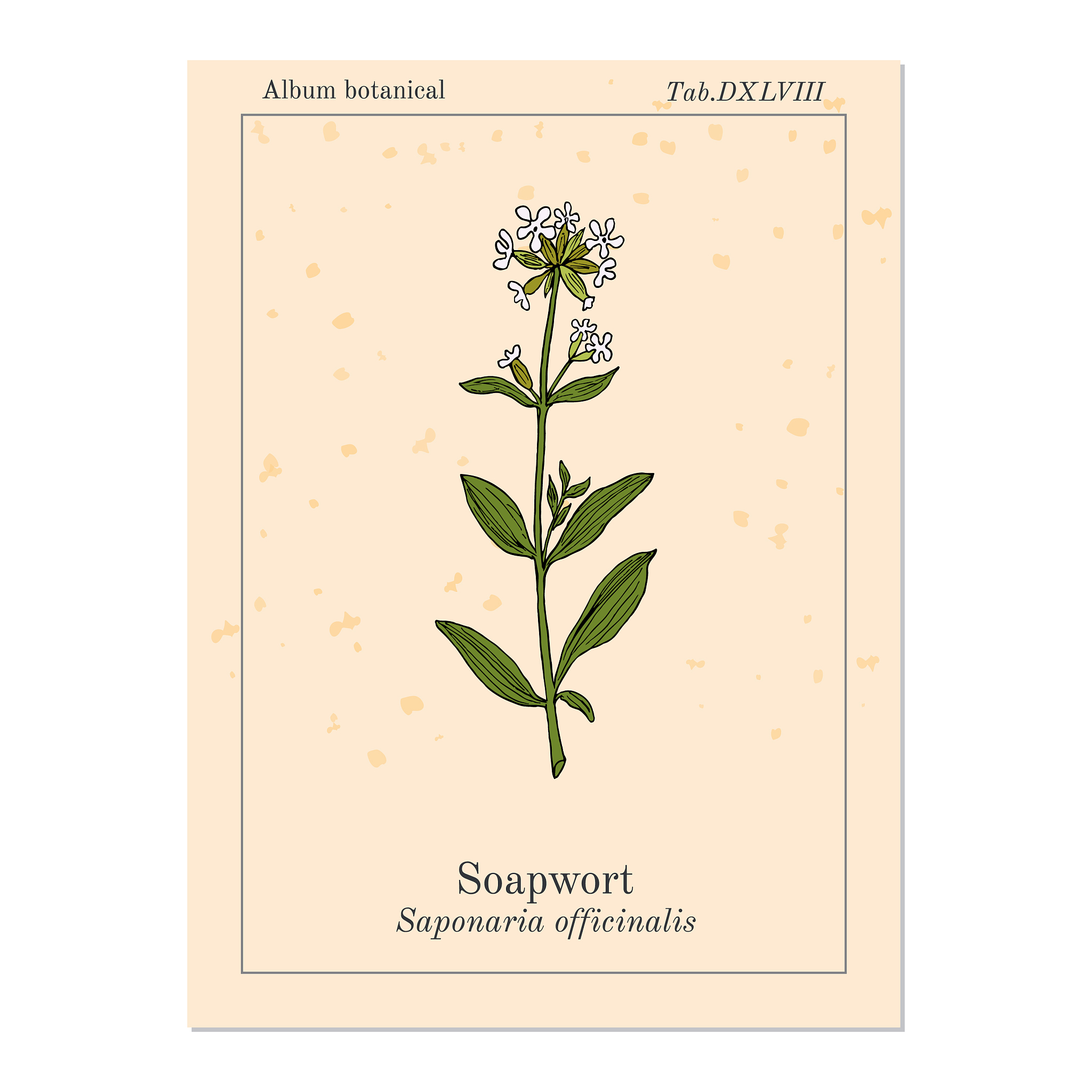 China's Pharmacopoeia: A Focus on Vascular Plant Families