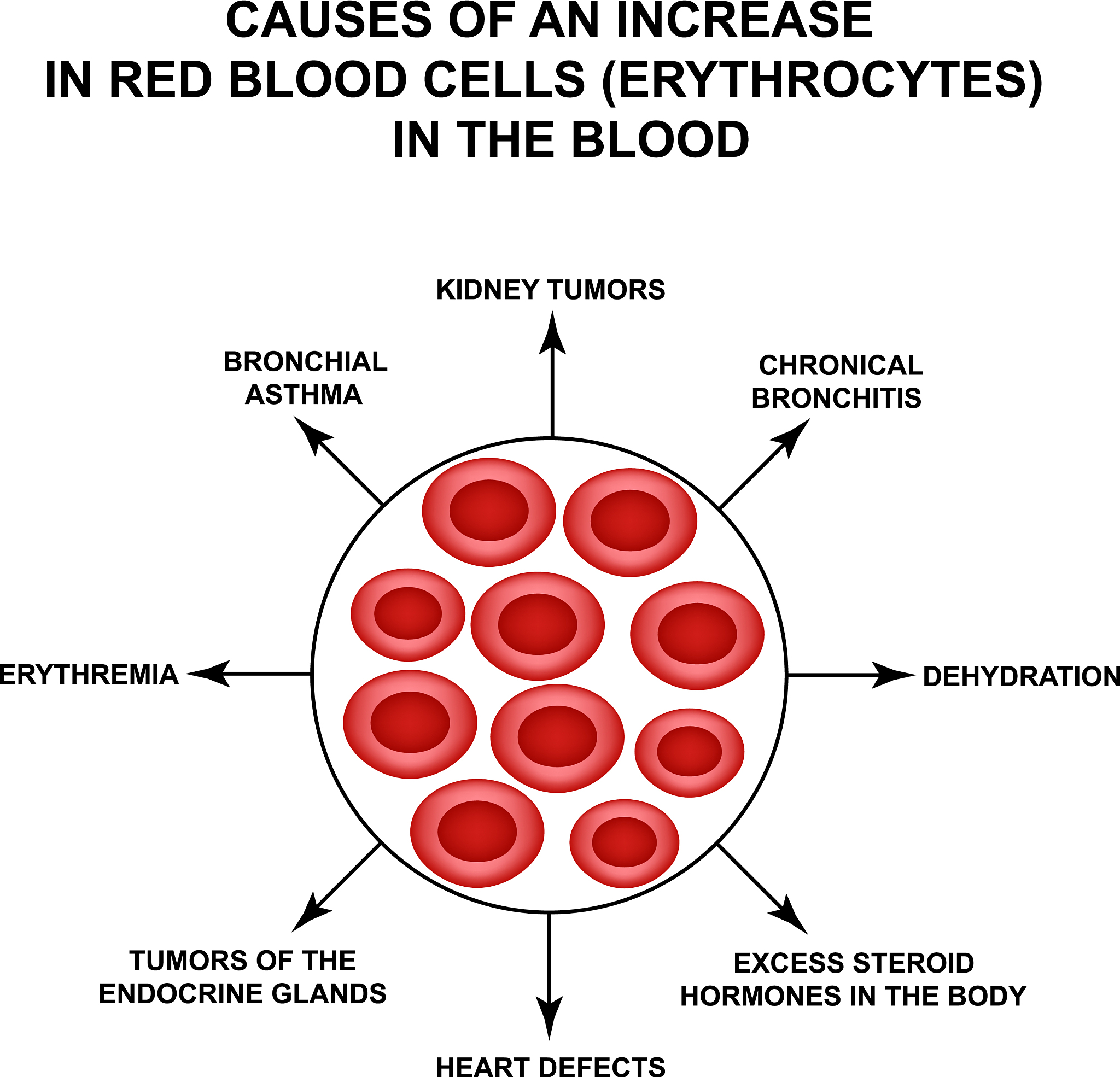 miR-137-5p Downregulation in Alzheimer's Disease Serum and Its Direct Interaction with USP30