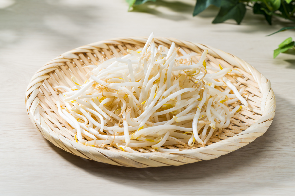 如何防止黄豆芽在阳光下变绿？