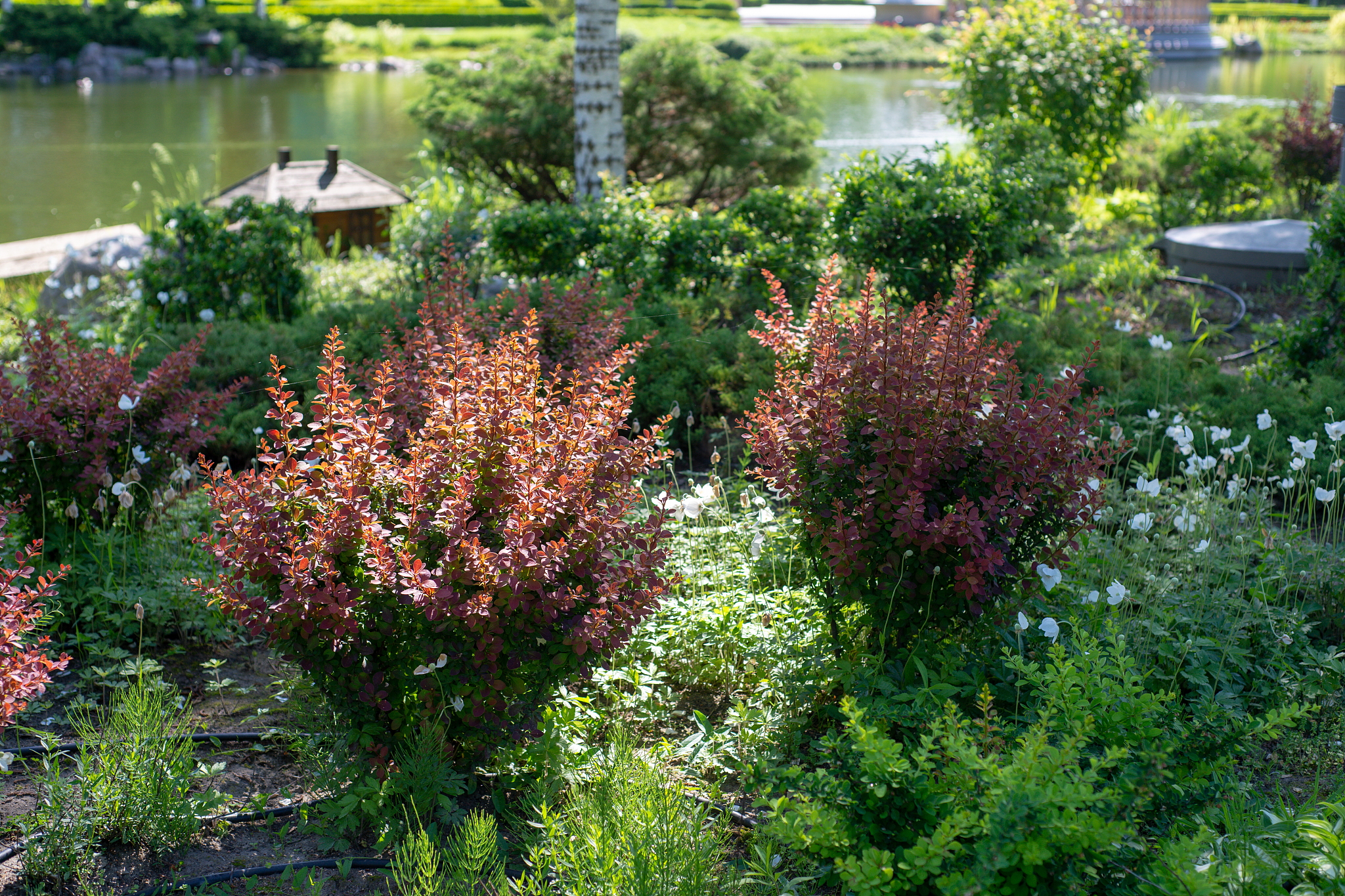 重庆市风景园林技工学校招生简章 | 园林景观设计与施工专业