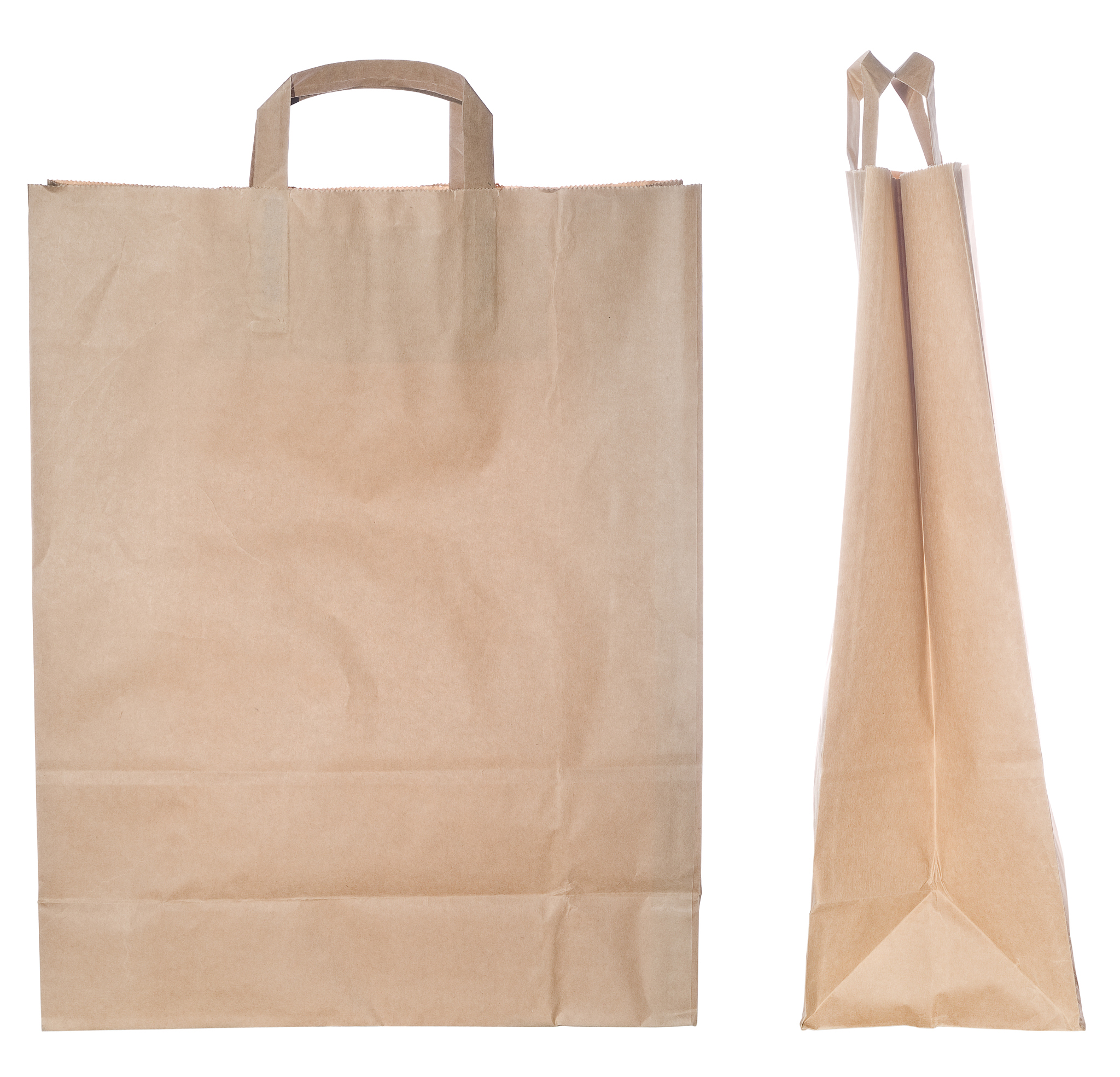 If you are given a choice of bagging your groceries in a paper or a plastic bag which do you select because it is manufactured from a renewable resource Explain your choice