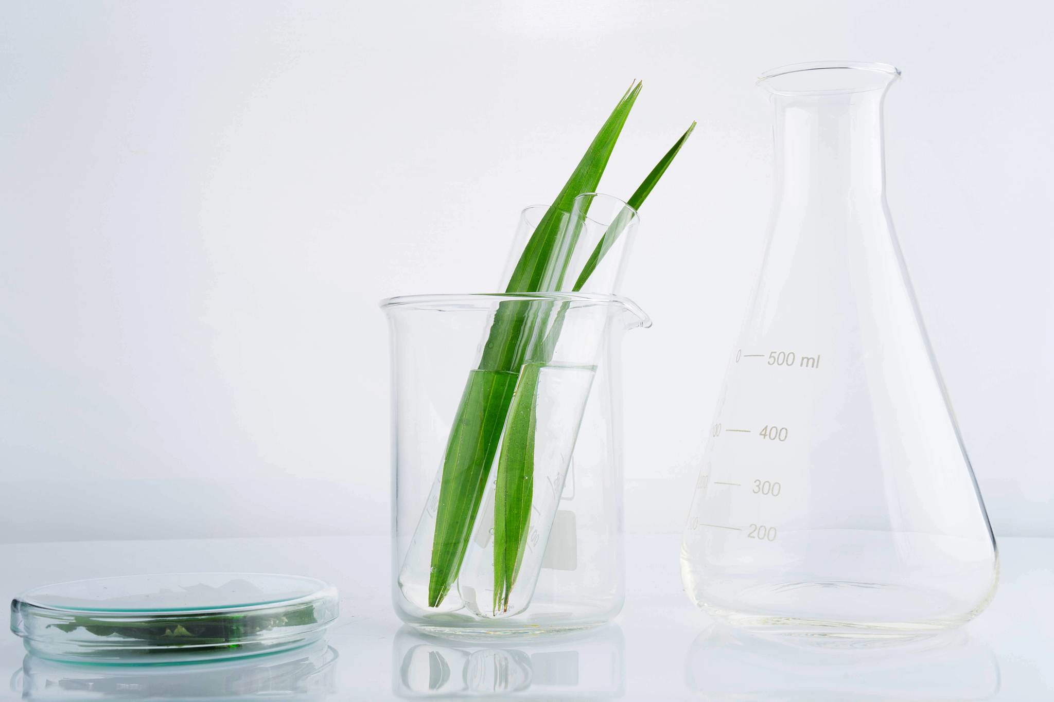 以医务检定员助理的身份写一篇实习日报包含在以医务检定员助理实习过程中遇到的有机化学专业知识包括：实习过程及内容记录典型生产案例记录及分析存在问题、启示熟悉企业或者行业的组织模式和流程情况并分析和评估该企业或行业的产业发展状况。