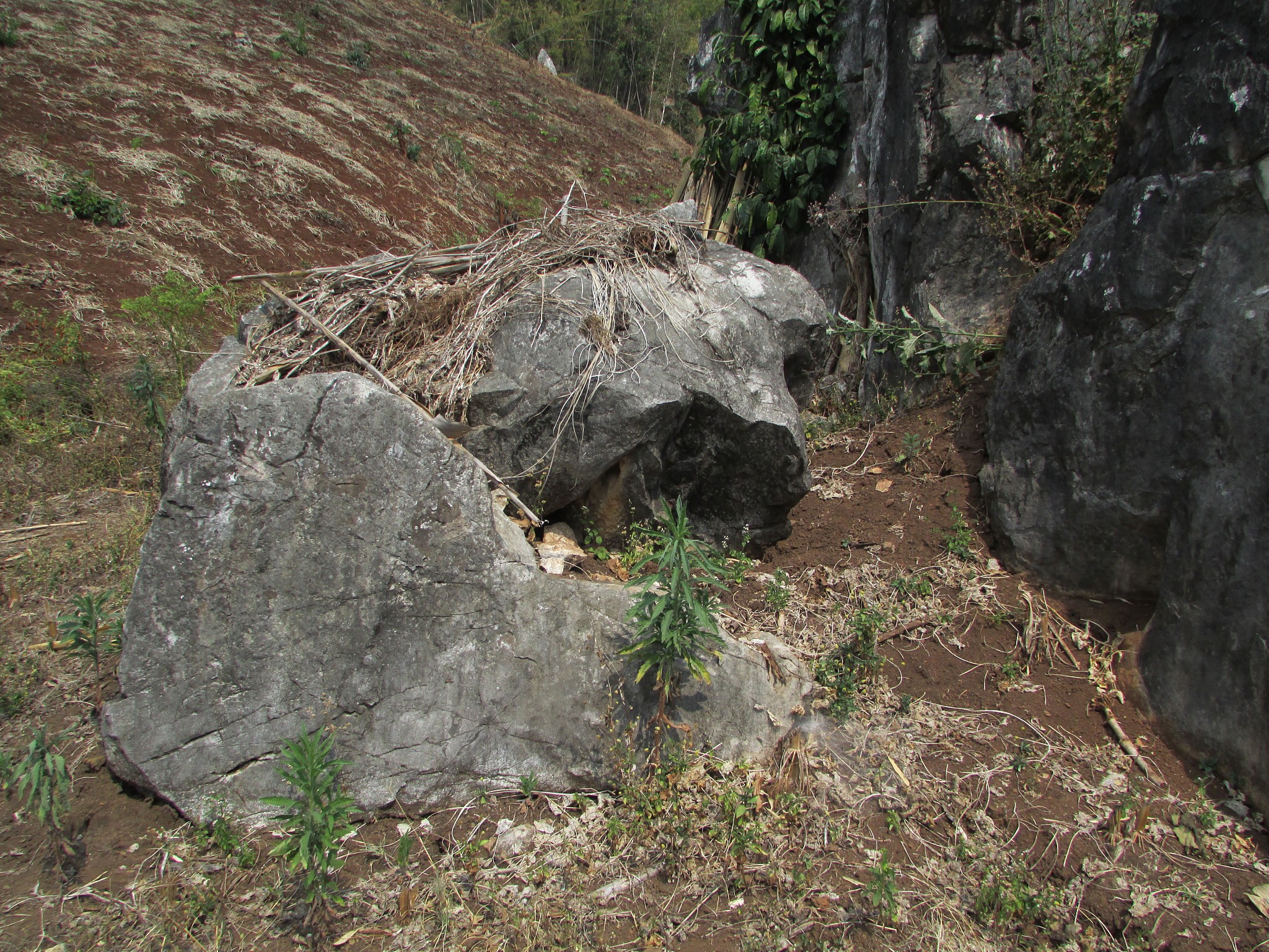 杭州宝石山自然地理户外实训日志岩洞岩壁有气孔流纹岩