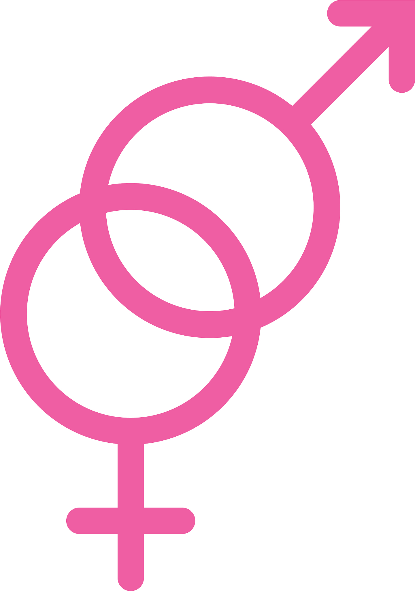 genders symbols love isolated icon