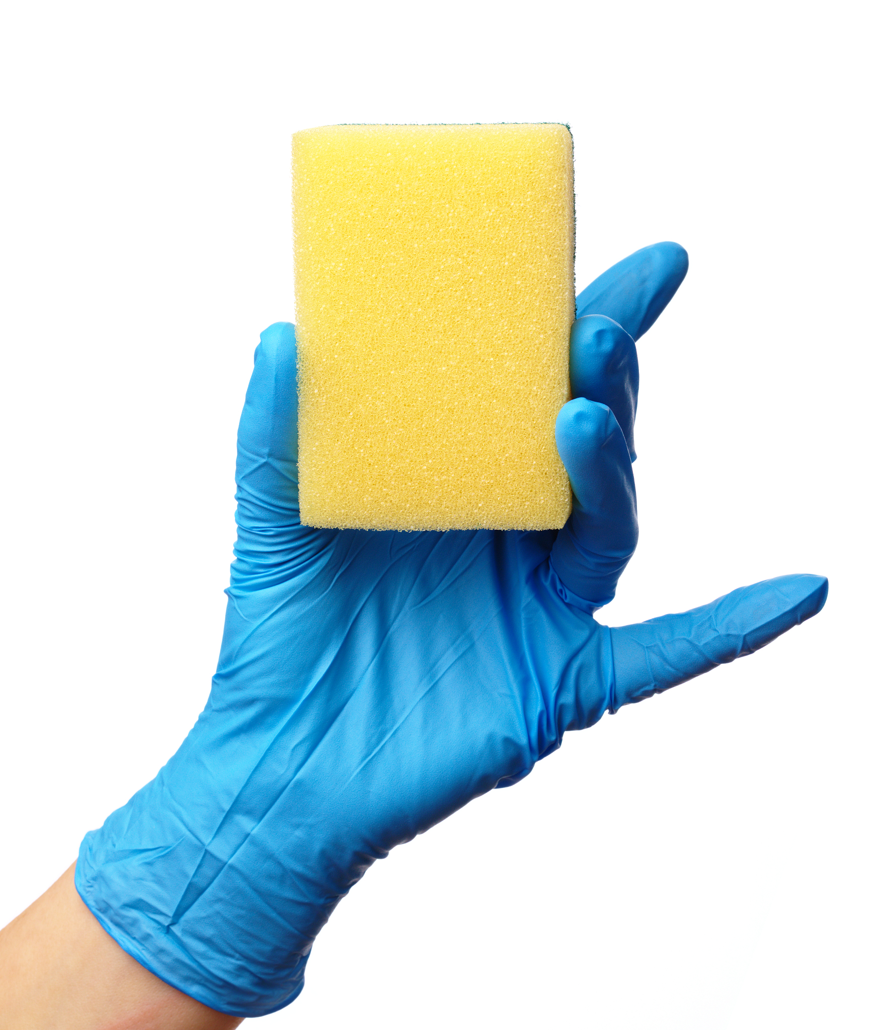 hand in glove holding washing sponge