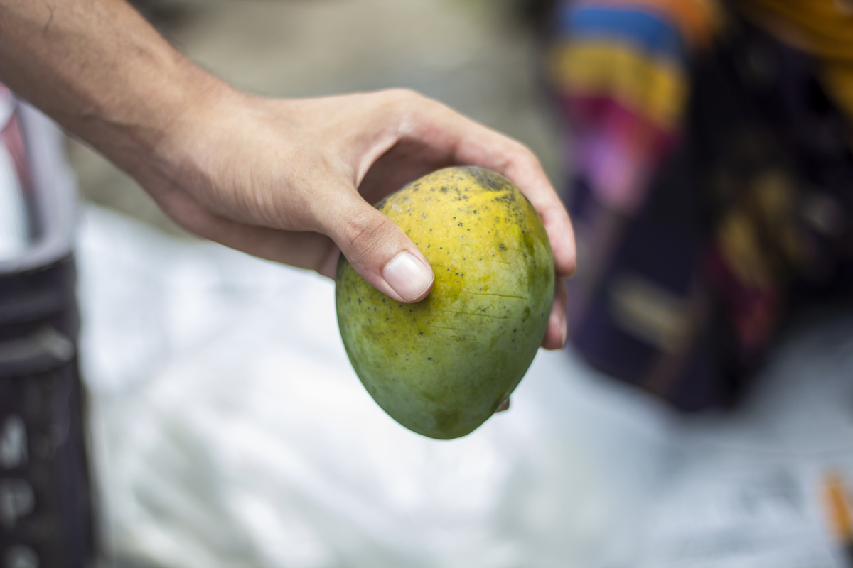 芒果皮有黑点还能吃吗？教你辨别芒果是否变质