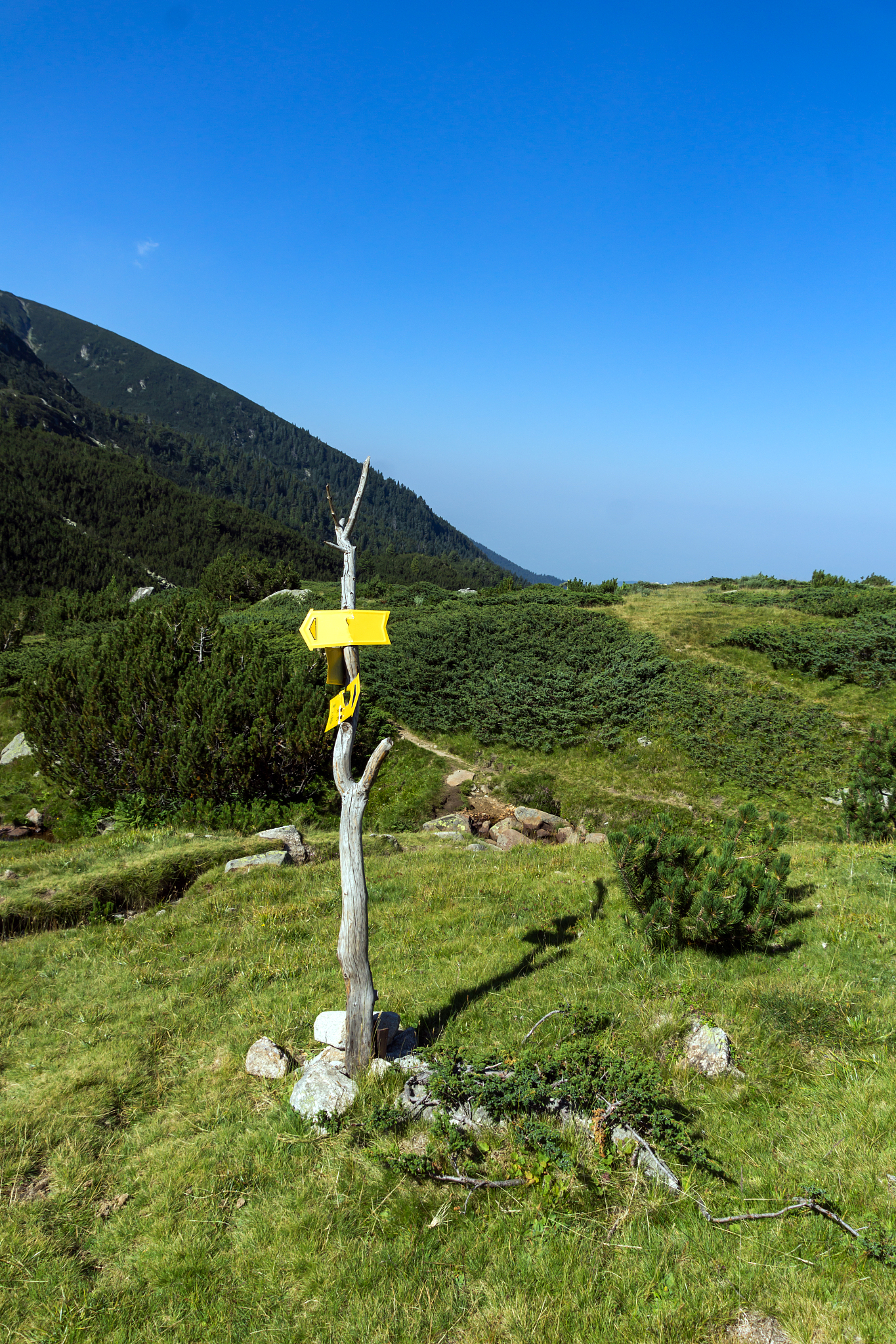 landscape of begovitsa river valley, pirin mountain, bulgaria