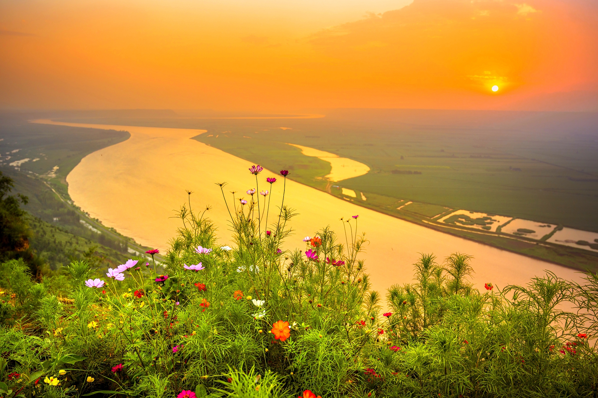 山东黄河文化传承与黄河流域高质量发展研究