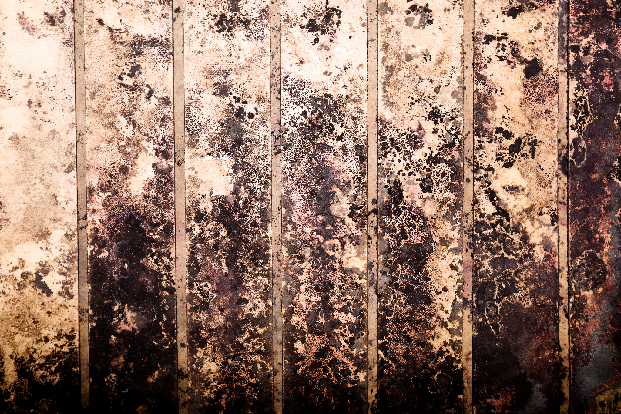 柜子里的衣服有霉味最主要是什么霉