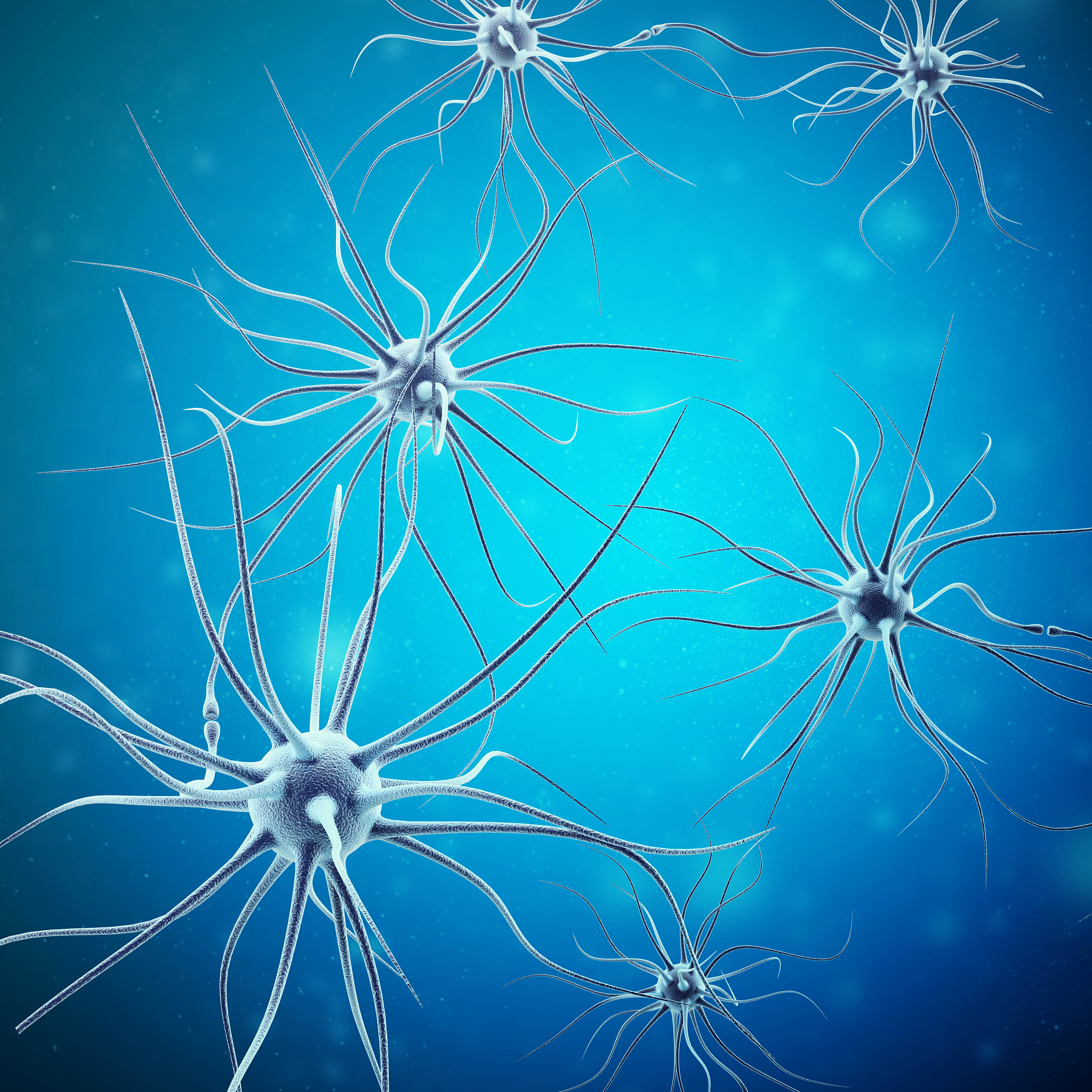 肾上腺素：作用机制、影响和功能 - 全面解析