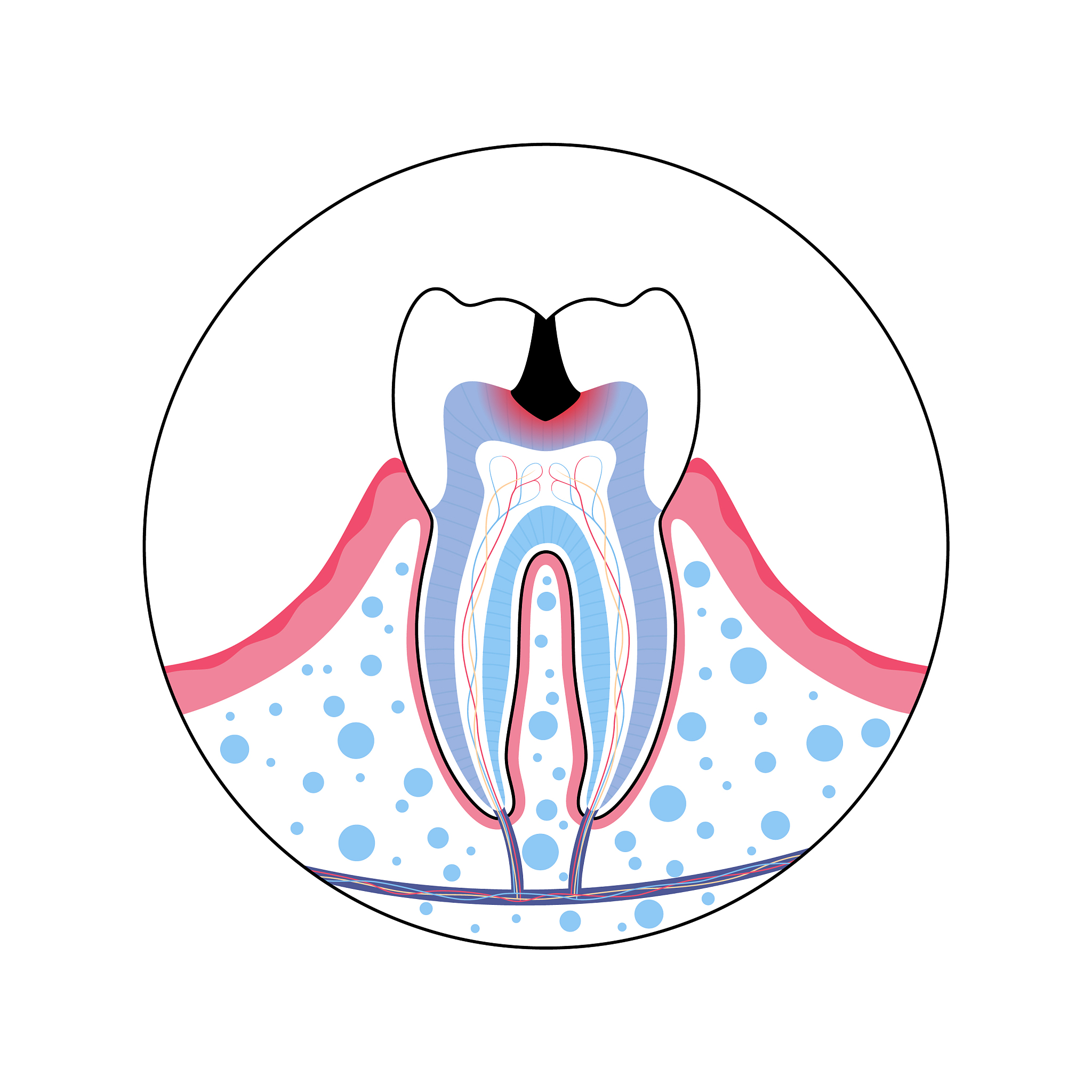 关于大兴调查研究开创新征程新局面的锐利武器的学习笔记200字
